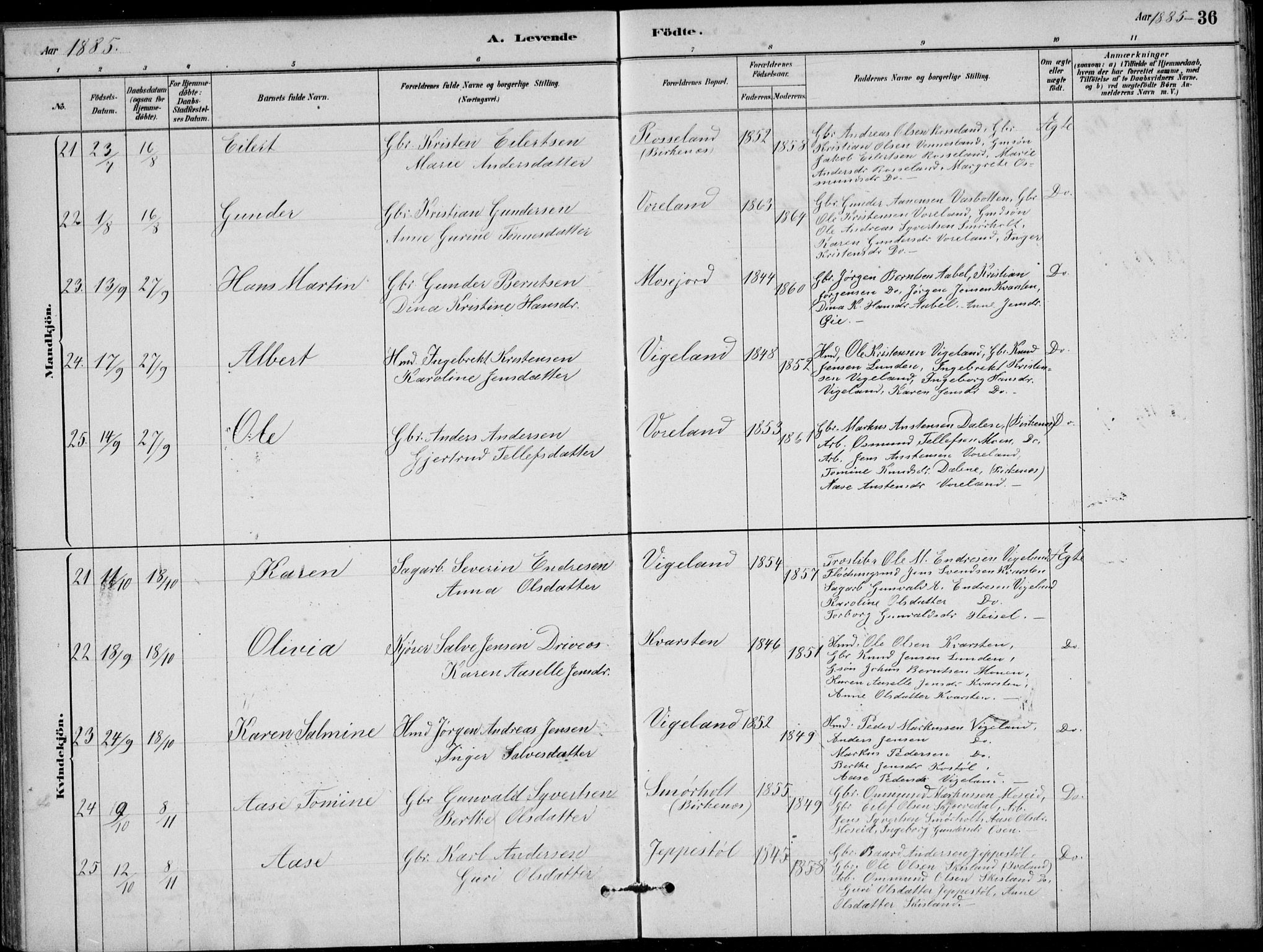 Vennesla sokneprestkontor, AV/SAK-1111-0045/Fb/Fbb/L0003: Parish register (copy) no. B 3, 1879-1893, p. 36