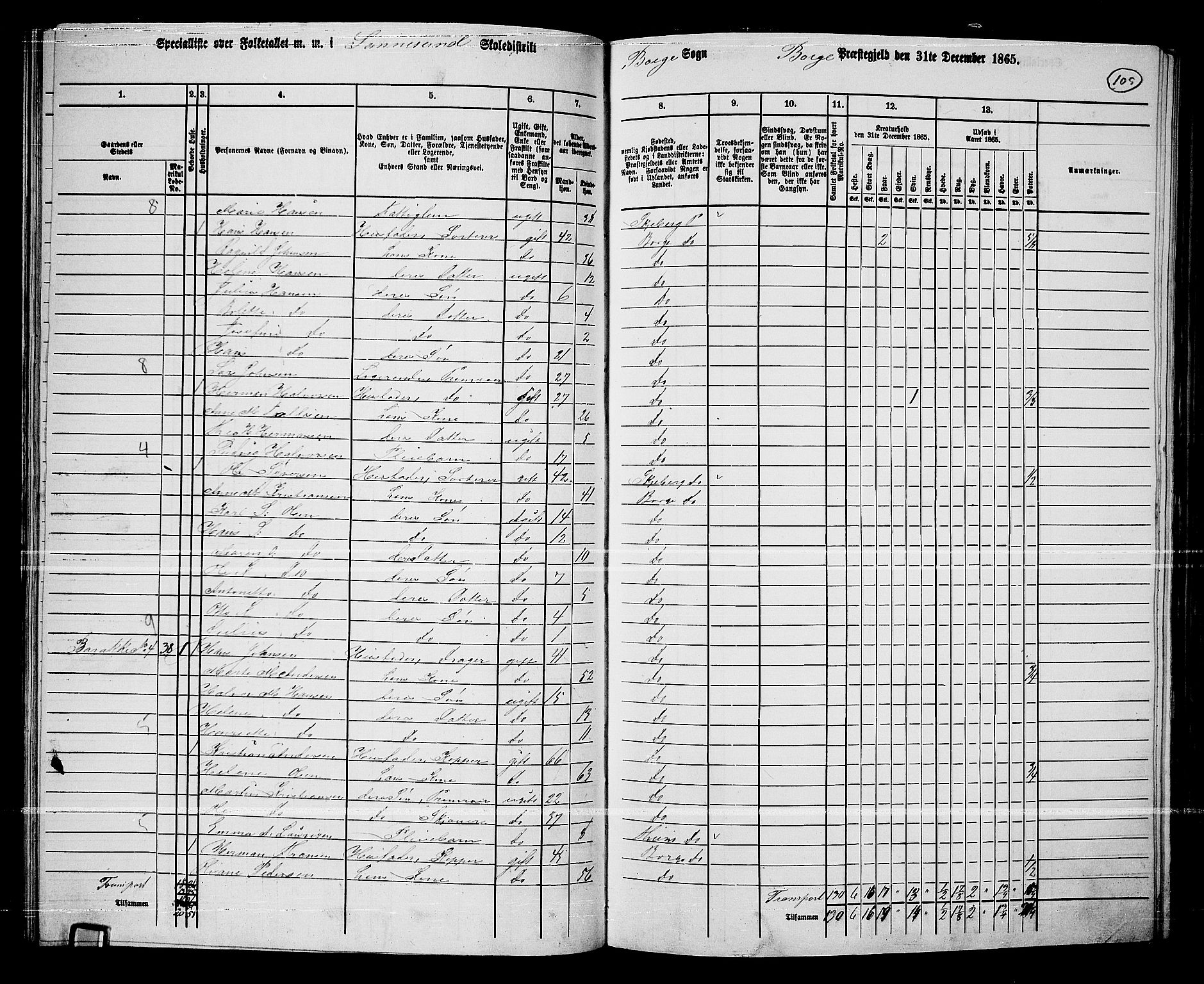 RA, 1865 census for Borge, 1865, p. 99