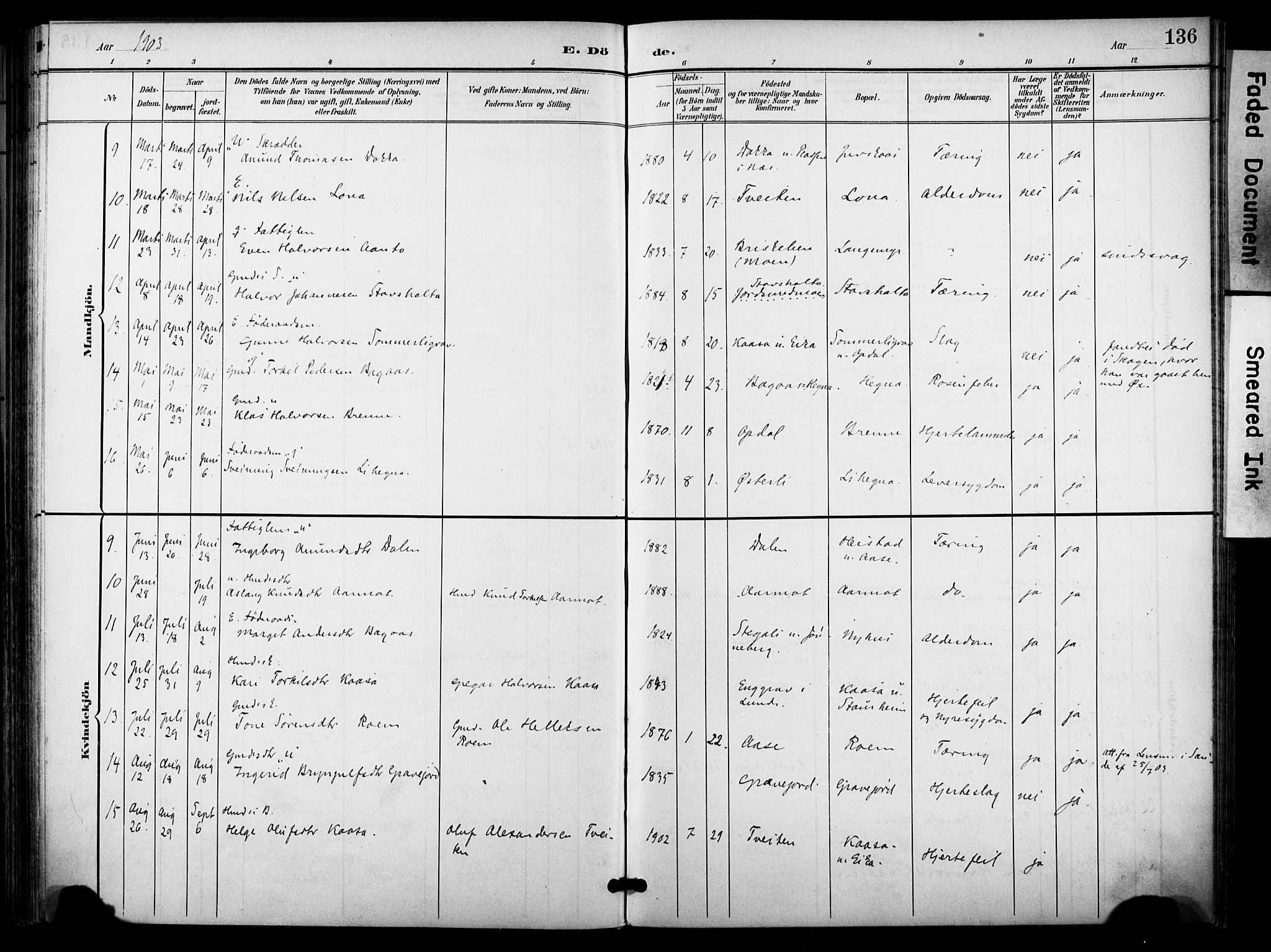 Bø kirkebøker, AV/SAKO-A-257/F/Fa/L0012: Parish register (official) no. 12, 1900-1908, p. 136