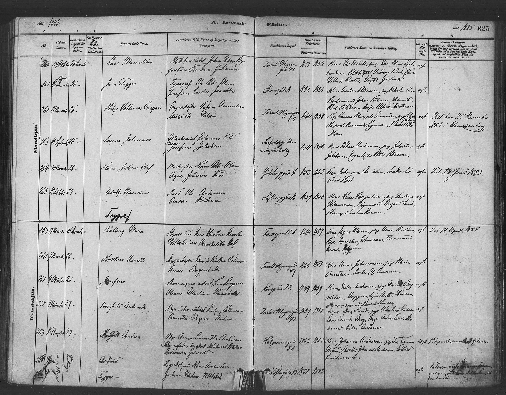 Paulus prestekontor Kirkebøker, AV/SAO-A-10871/F/Fa/L0003: Parish register (official) no. 3, 1879-1887, p. 325