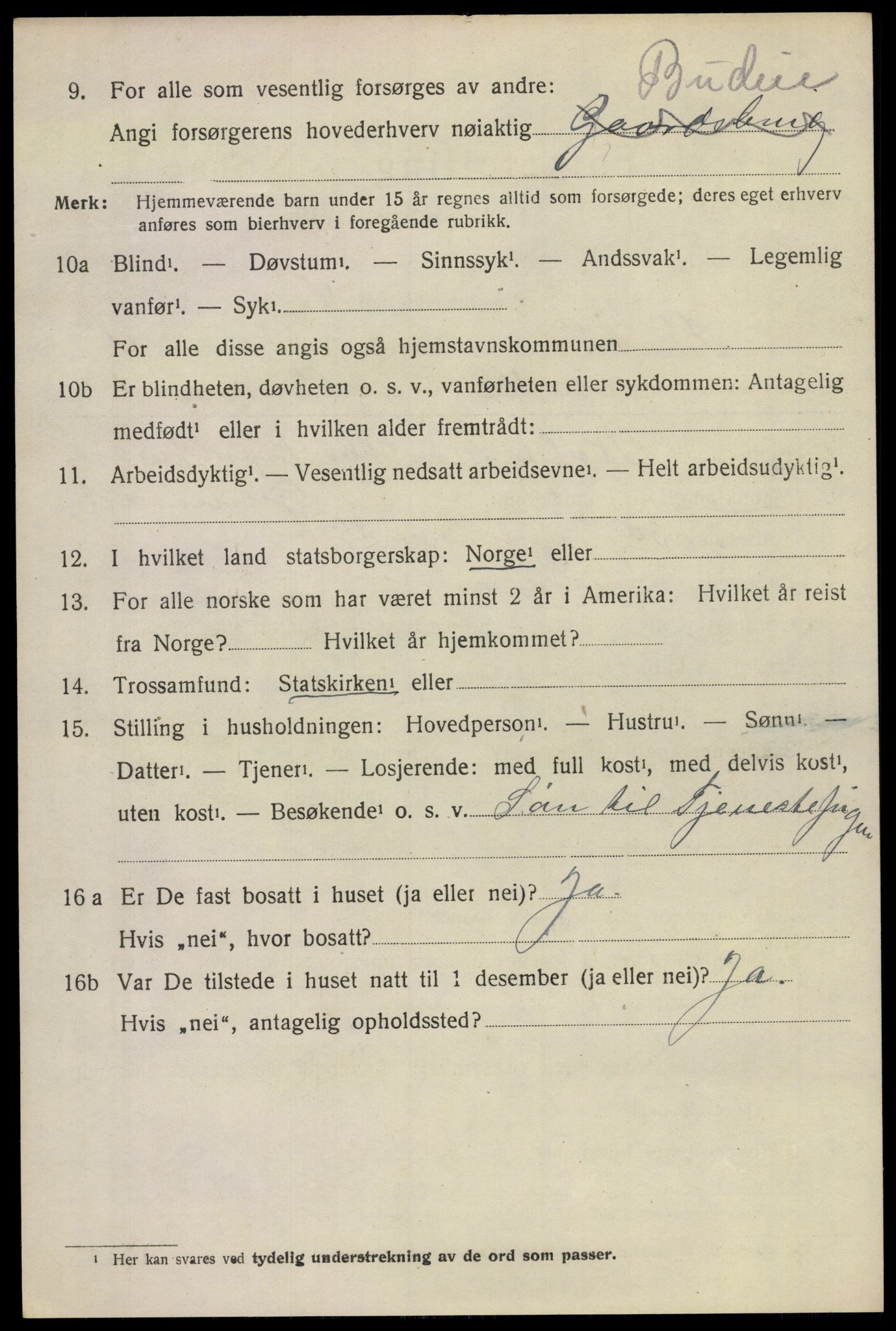 SAKO, 1920 census for Botne, 1920, p. 4158