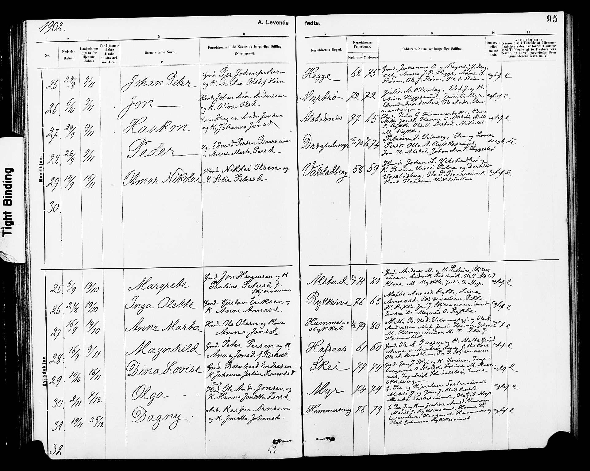 Ministerialprotokoller, klokkerbøker og fødselsregistre - Nord-Trøndelag, SAT/A-1458/712/L0103: Parish register (copy) no. 712C01, 1878-1917, p. 95