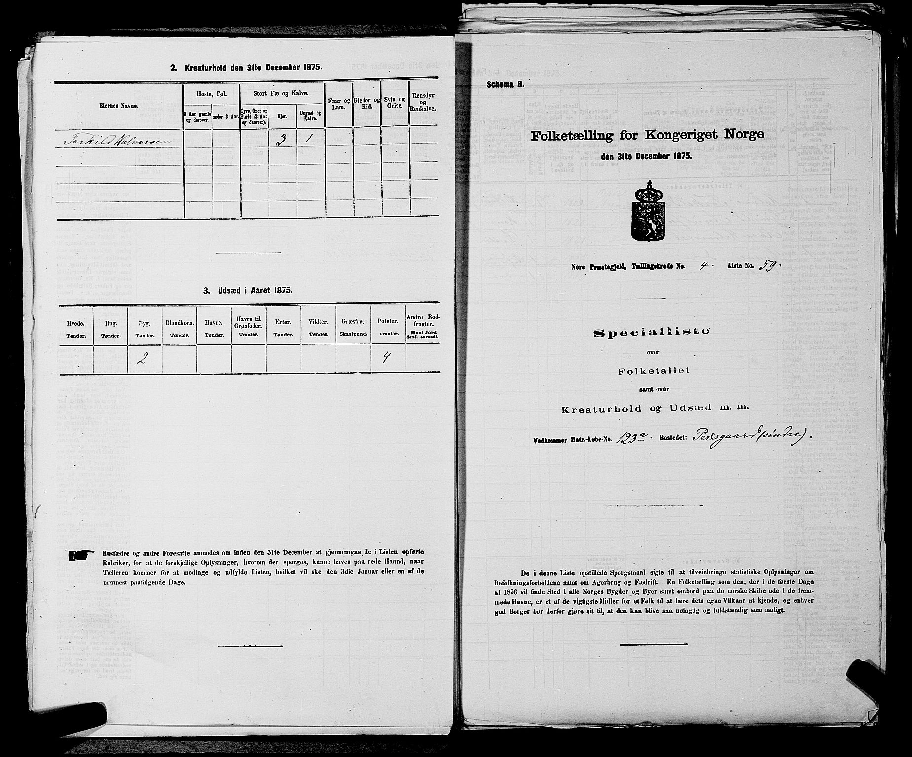 SAKO, 1875 census for 0633P Nore, 1875, p. 502