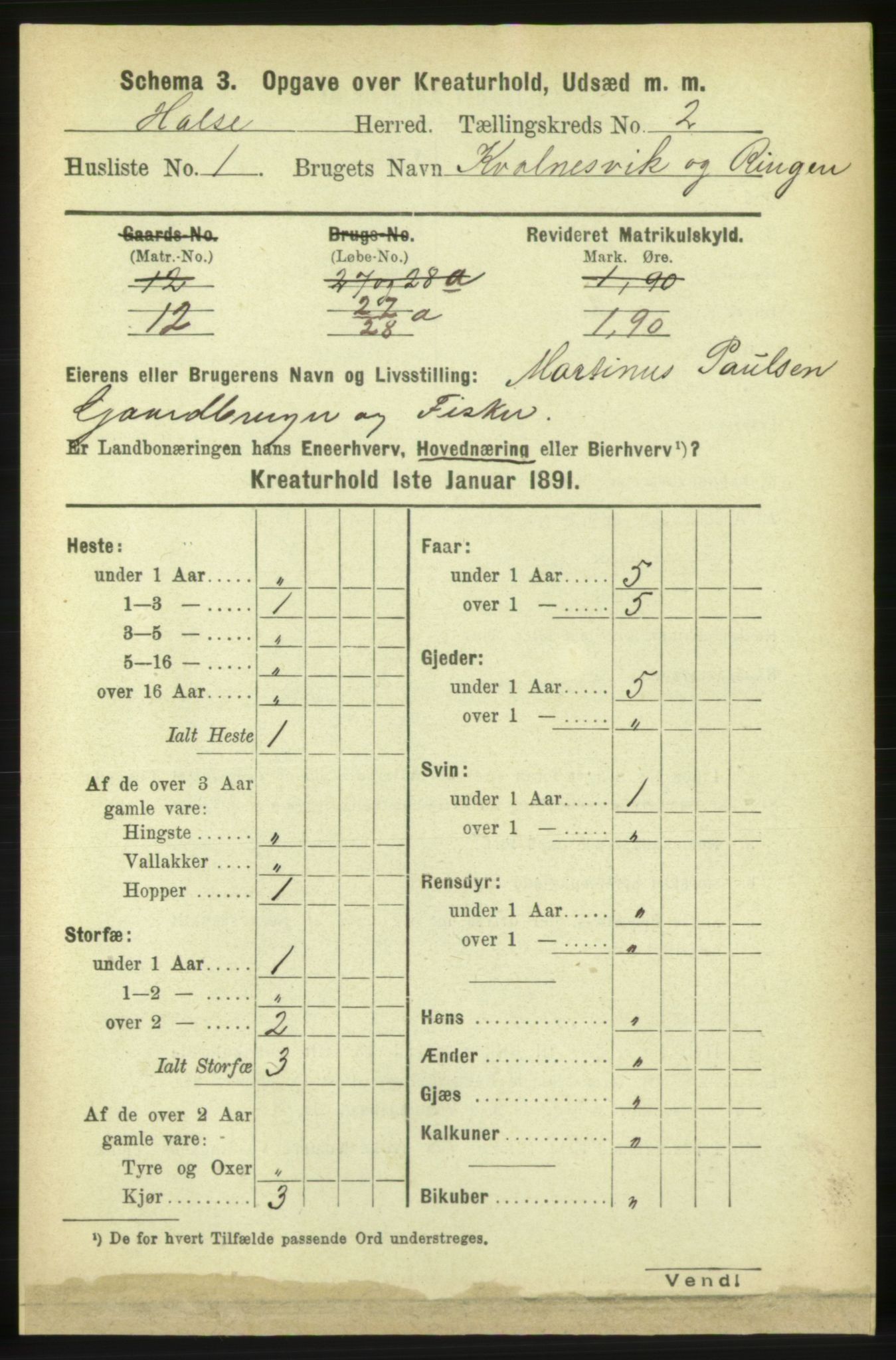 RA, 1891 census for 1571 Halsa, 1891, p. 1918