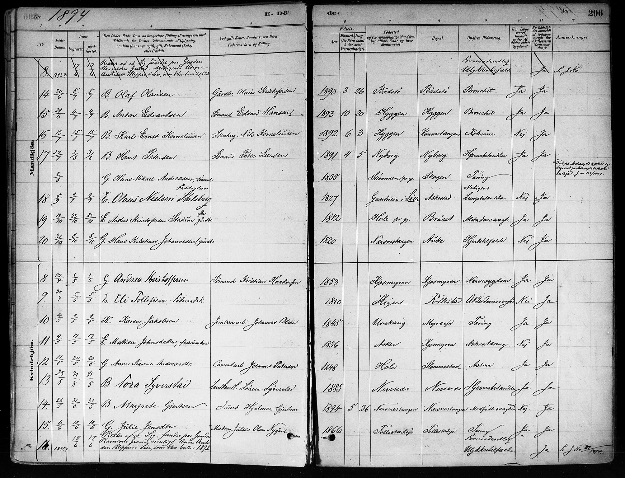 Røyken kirkebøker, SAKO/A-241/F/Fa/L0008: Parish register (official) no. 8, 1880-1897, p. 296