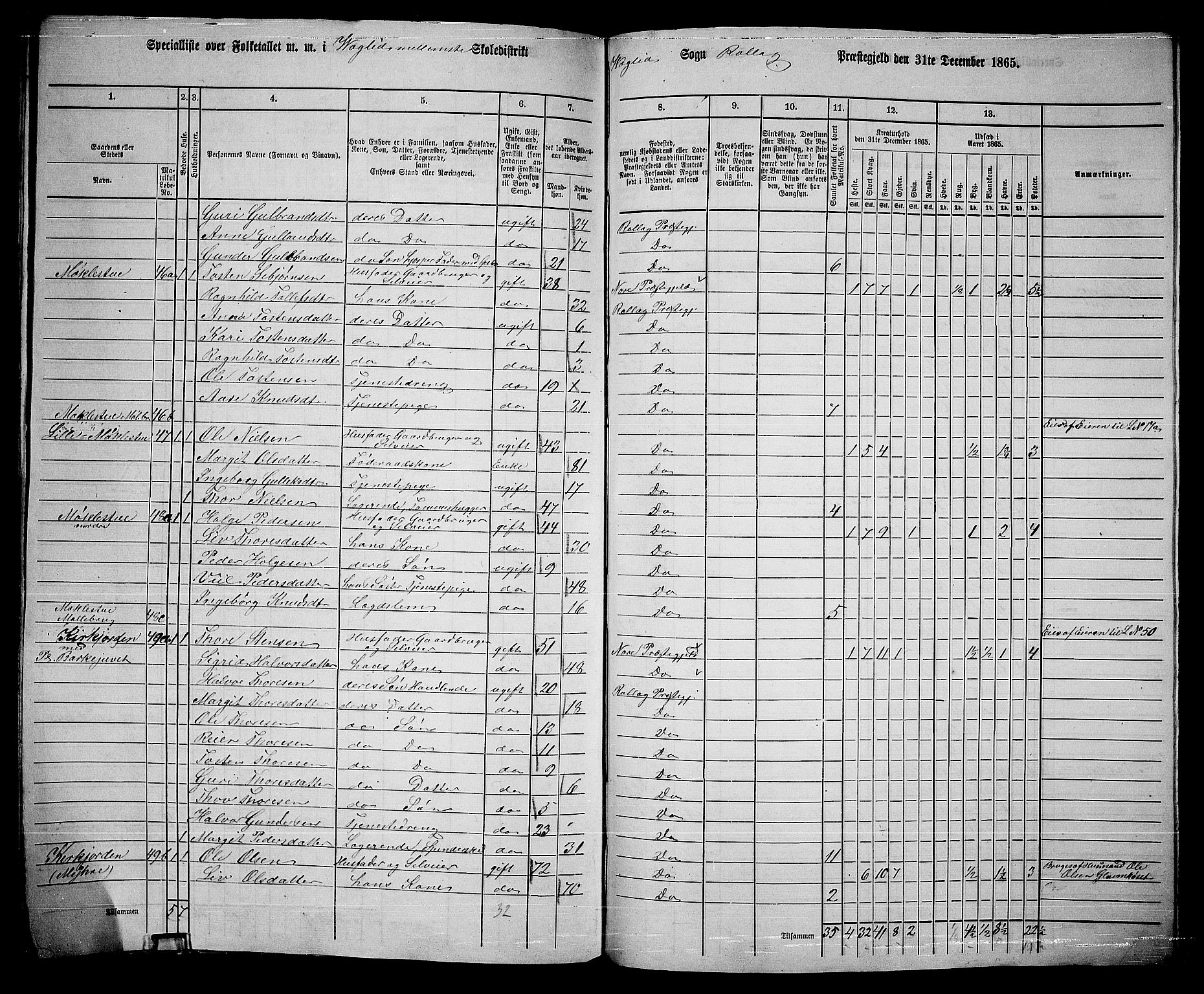 RA, 1865 census for Rollag, 1865, p. 61