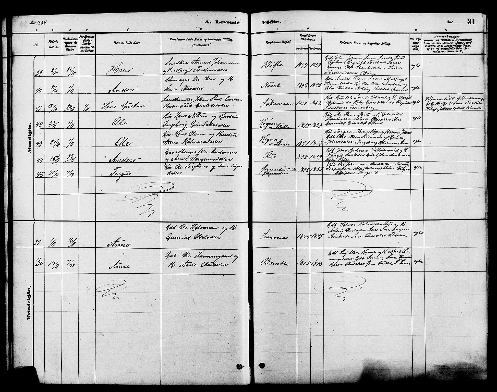 Heddal kirkebøker, SAKO/A-268/G/Ga/L0002: Parish register (copy) no. I 2, 1879-1908, p. 31