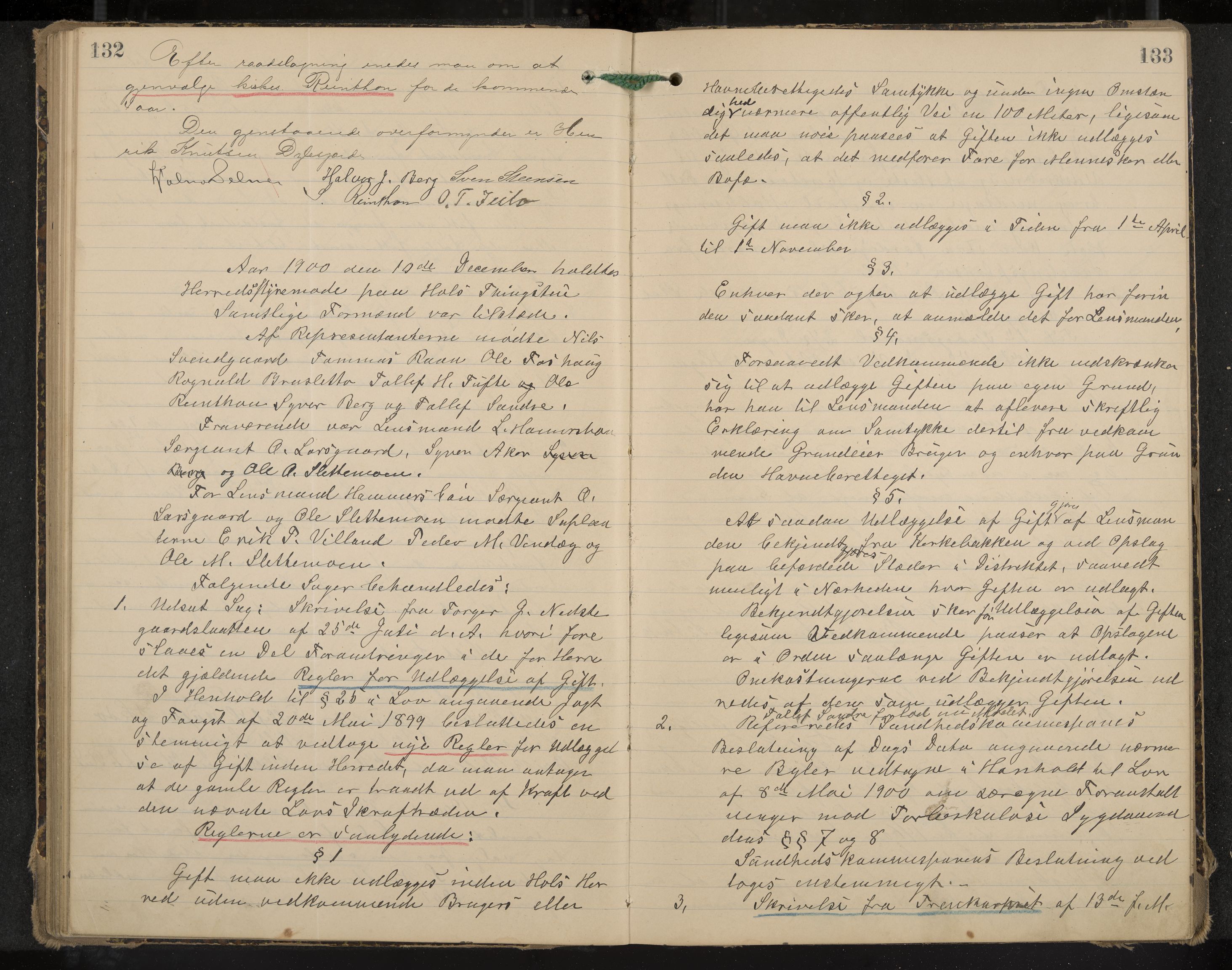 Hol formannskap og sentraladministrasjon, IKAK/0620021-1/A/L0003: Møtebok, 1897-1904, p. 132-133