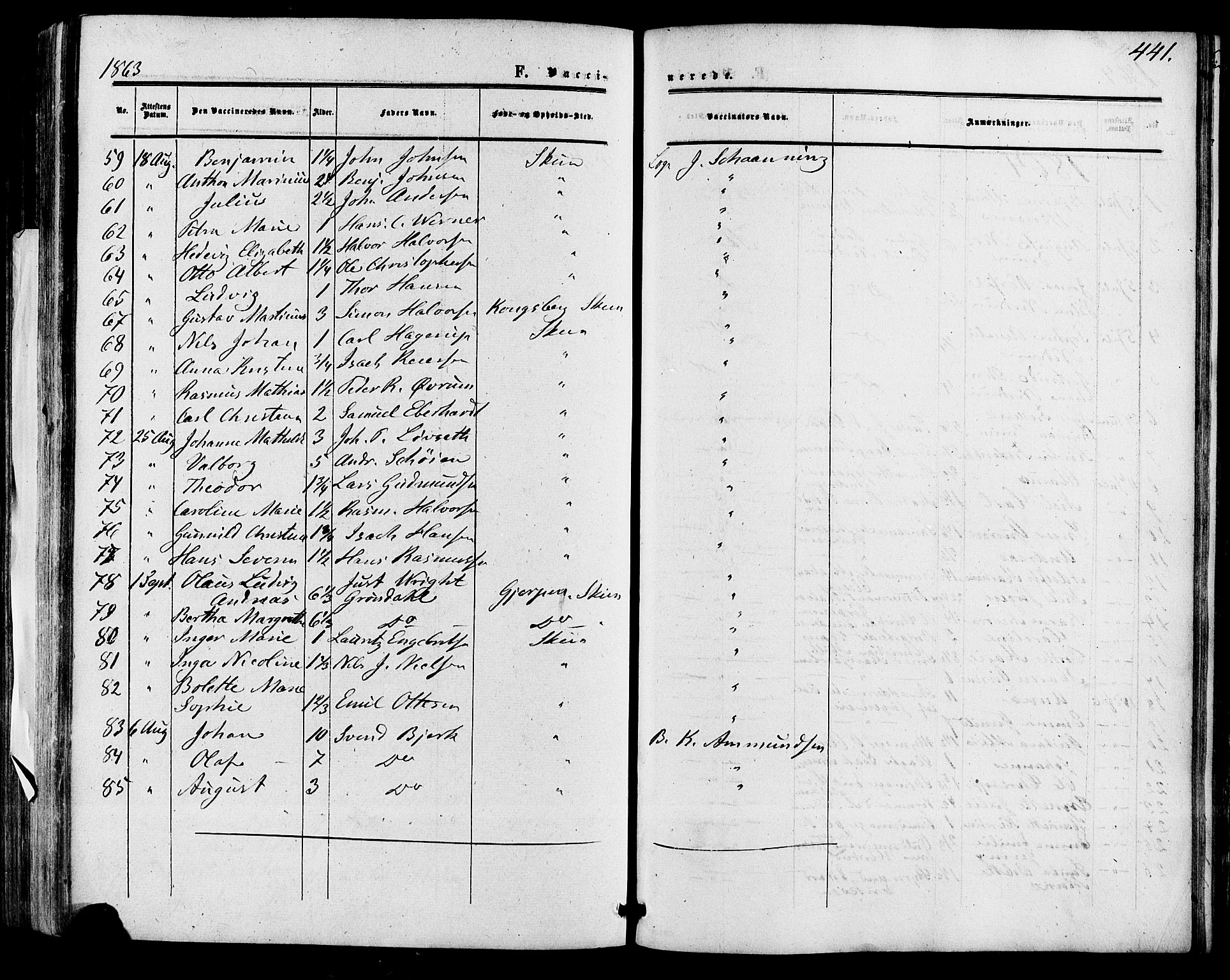 Skien kirkebøker, AV/SAKO-A-302/F/Fa/L0007: Parish register (official) no. 7, 1856-1865, p. 441