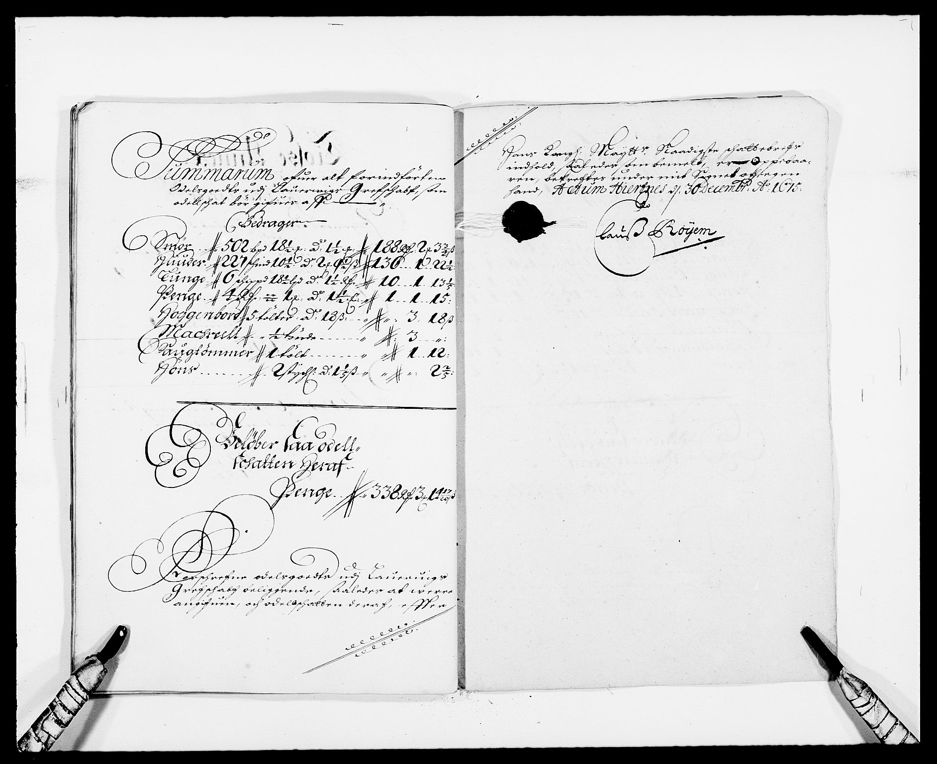 Rentekammeret inntil 1814, Reviderte regnskaper, Fogderegnskap, RA/EA-4092/R33/L1967: Fogderegnskap Larvik grevskap, 1675-1687, p. 171