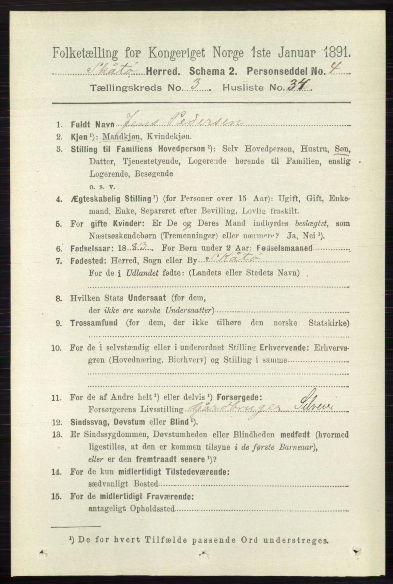 RA, 1891 census for 0815 Skåtøy, 1891, p. 666