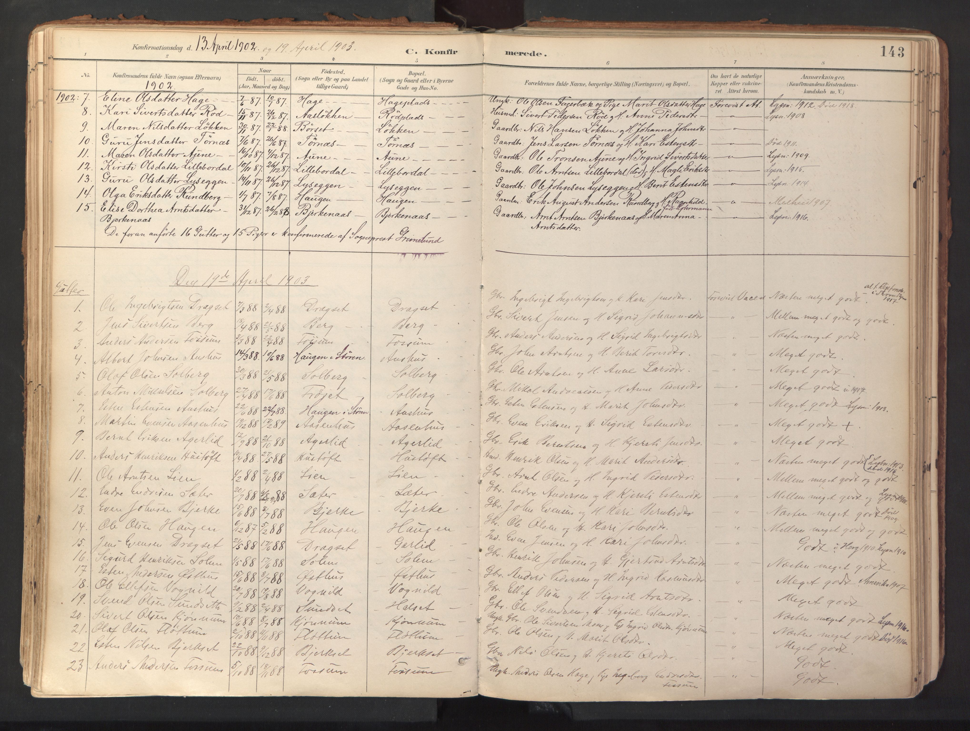 Ministerialprotokoller, klokkerbøker og fødselsregistre - Sør-Trøndelag, SAT/A-1456/689/L1041: Parish register (official) no. 689A06, 1891-1923, p. 143