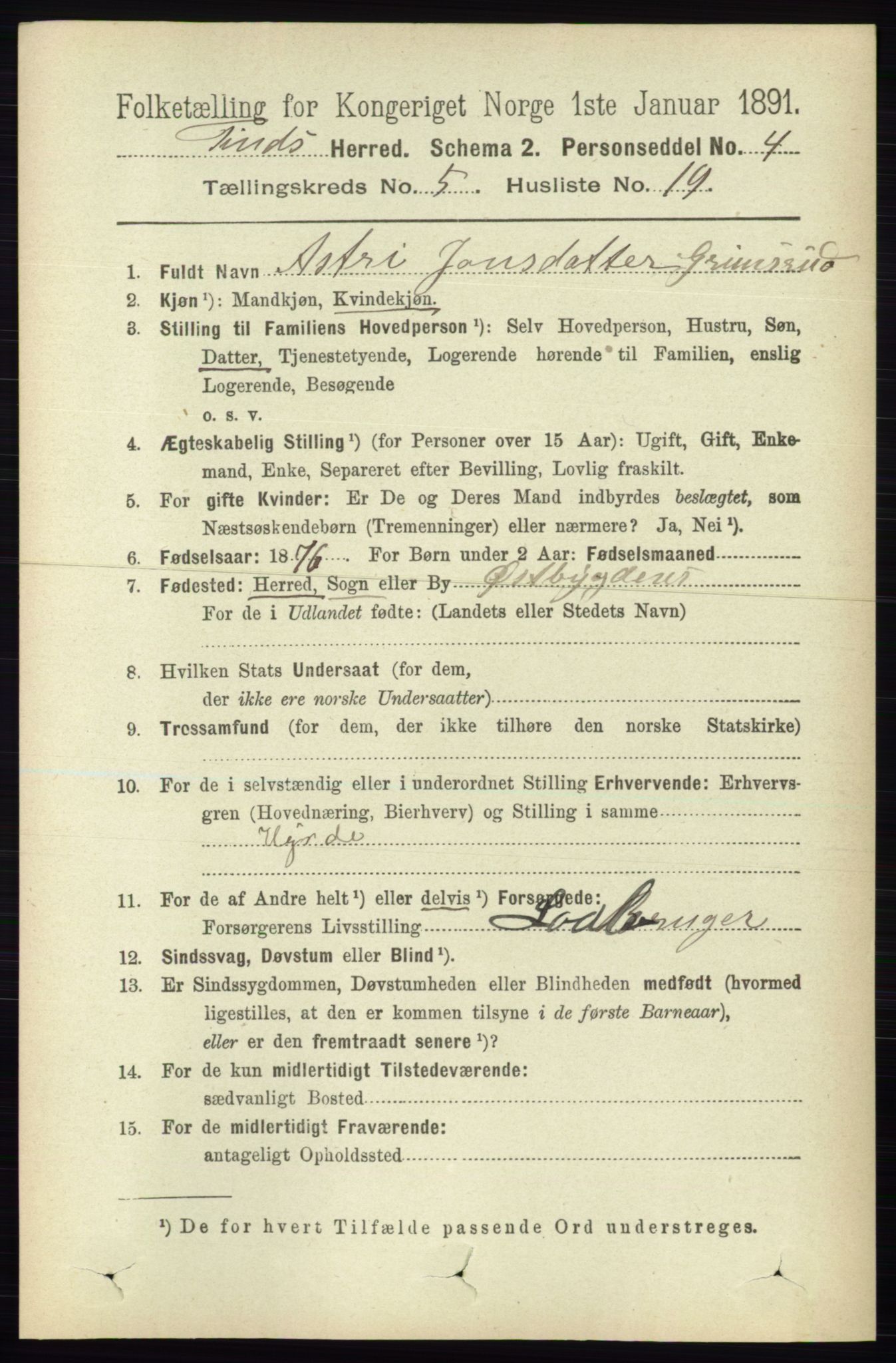 RA, 1891 census for 0826 Tinn, 1891, p. 1119
