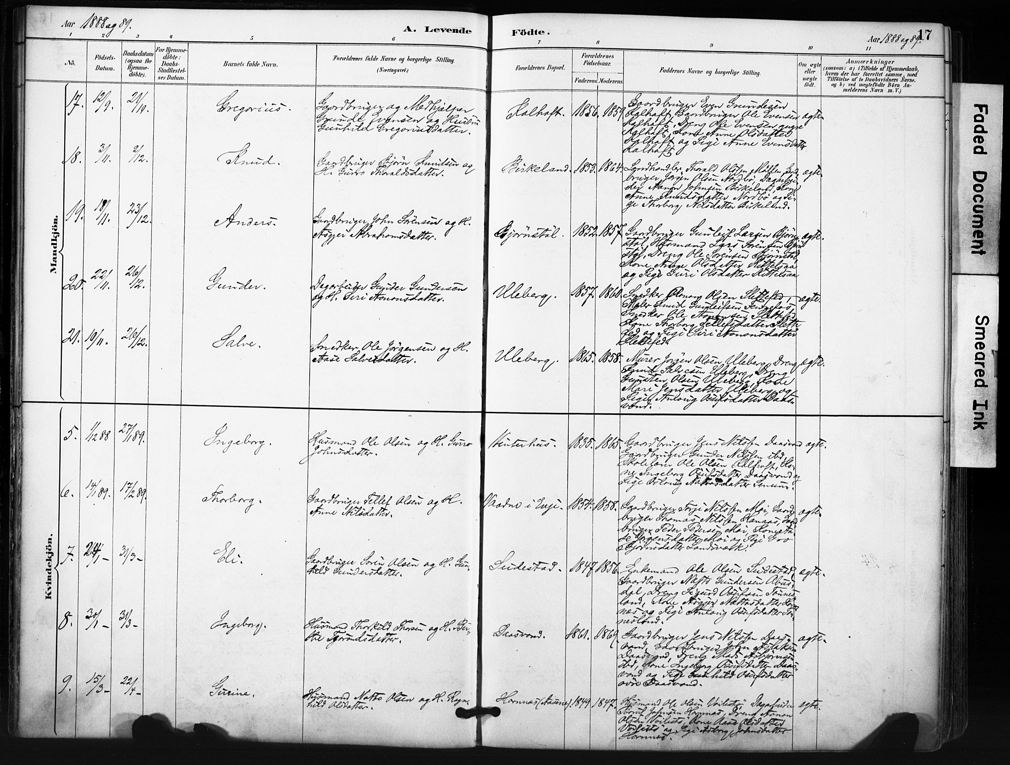Evje sokneprestkontor, SAK/1111-0008/F/Fa/Fab/L0003: Parish register (official) no. A 3, 1884-1909, p. 17