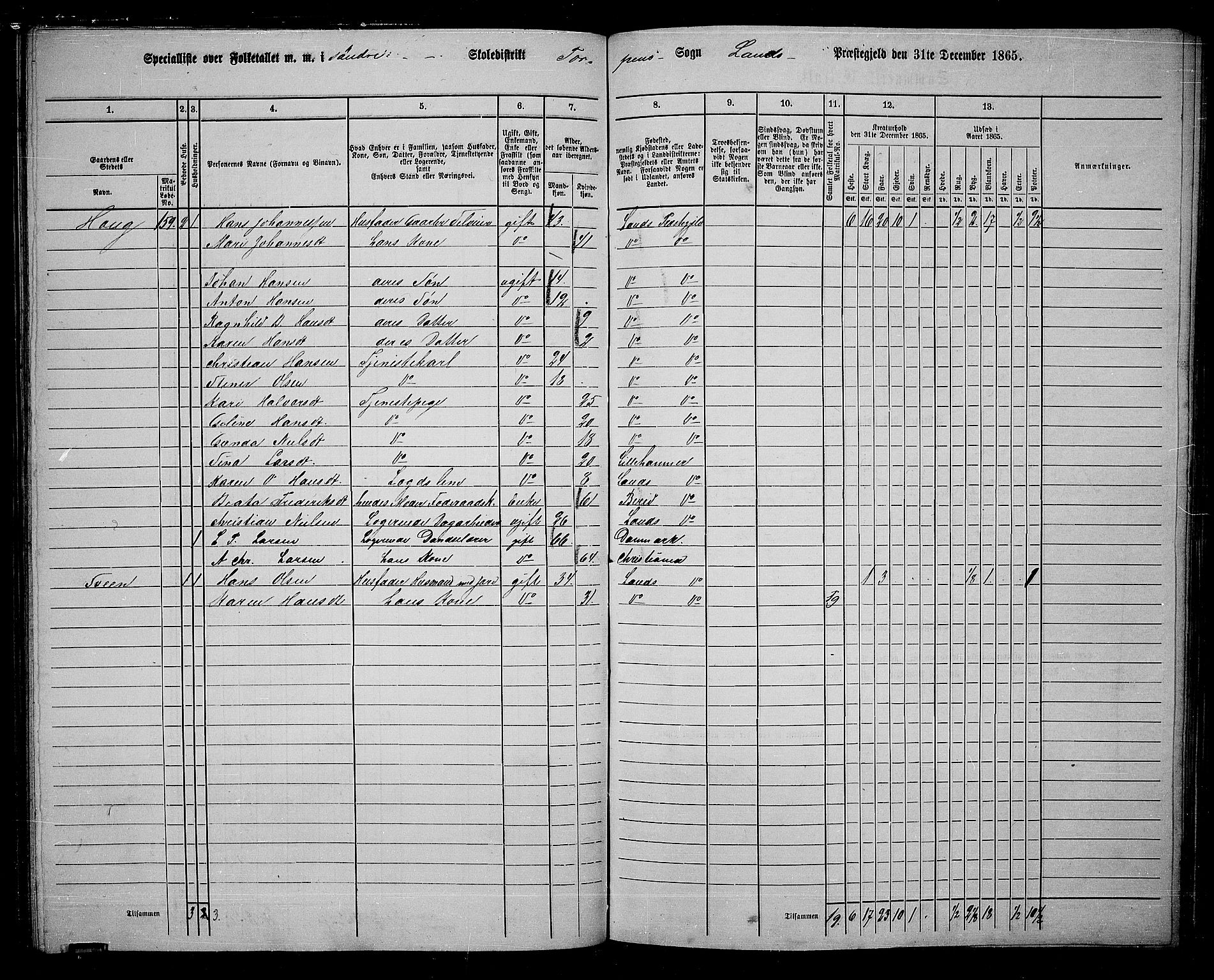 RA, 1865 census for Land, 1865, p. 121