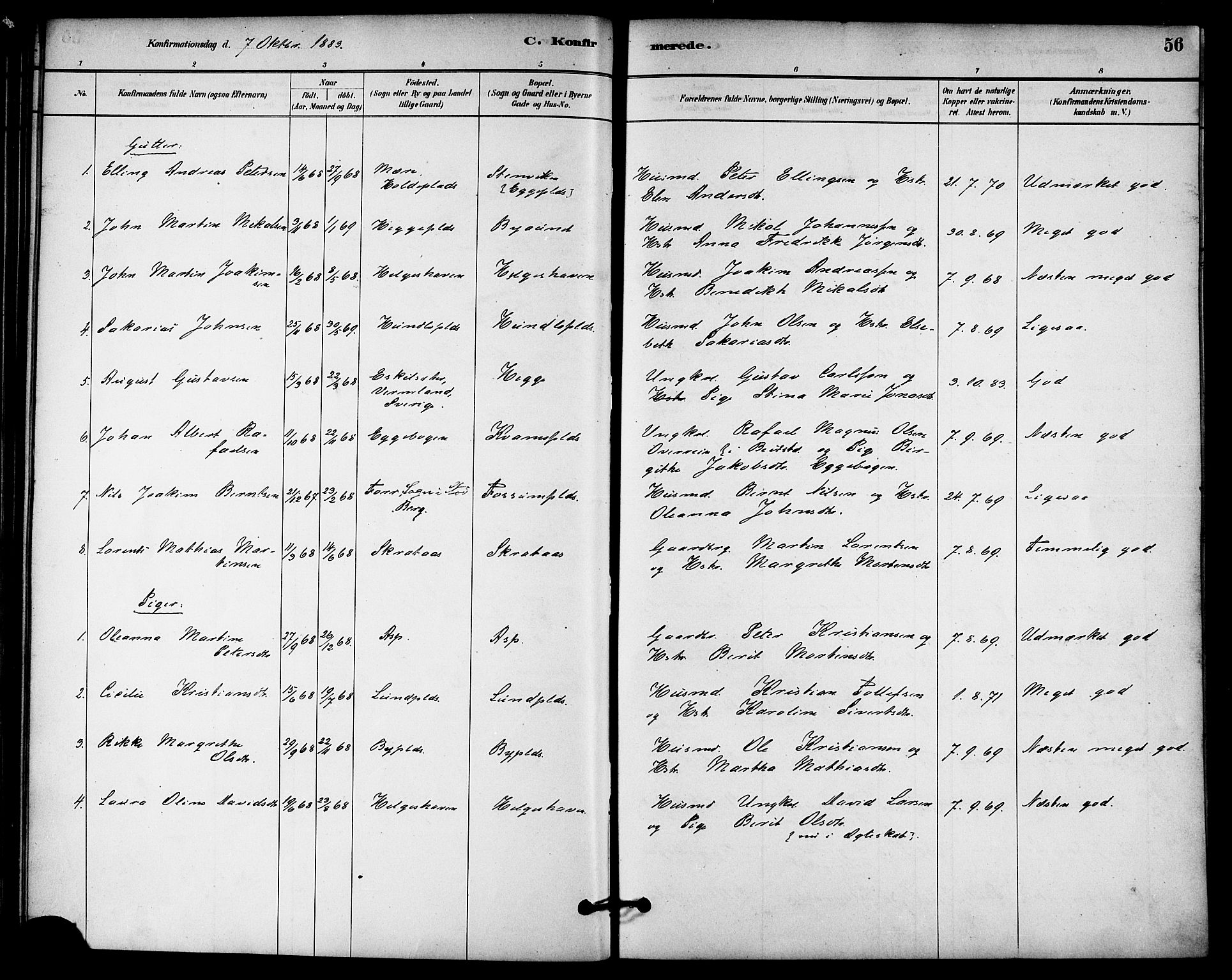 Ministerialprotokoller, klokkerbøker og fødselsregistre - Nord-Trøndelag, SAT/A-1458/740/L0378: Parish register (official) no. 740A01, 1881-1895, p. 56