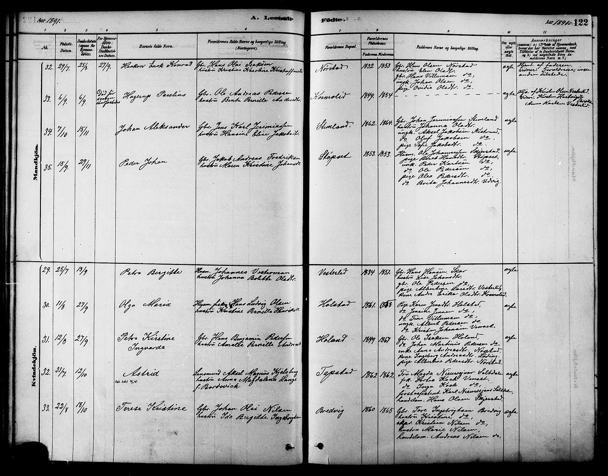 Ministerialprotokoller, klokkerbøker og fødselsregistre - Nordland, AV/SAT-A-1459/852/L0740: Parish register (official) no. 852A10, 1878-1894, p. 122