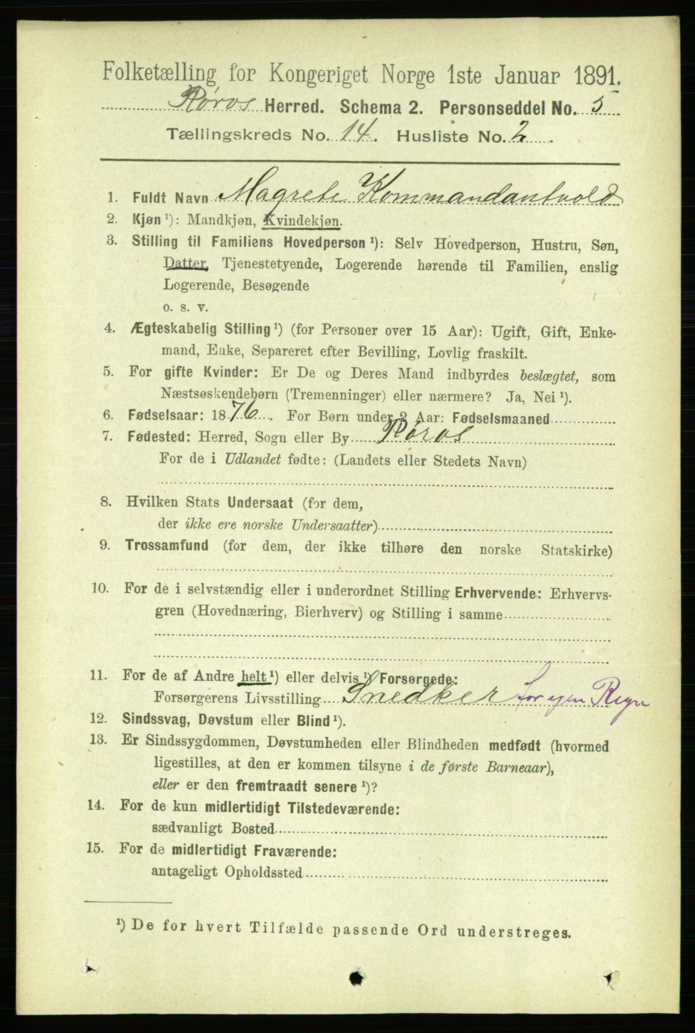 RA, 1891 census for 1640 Røros, 1891, p. 2885