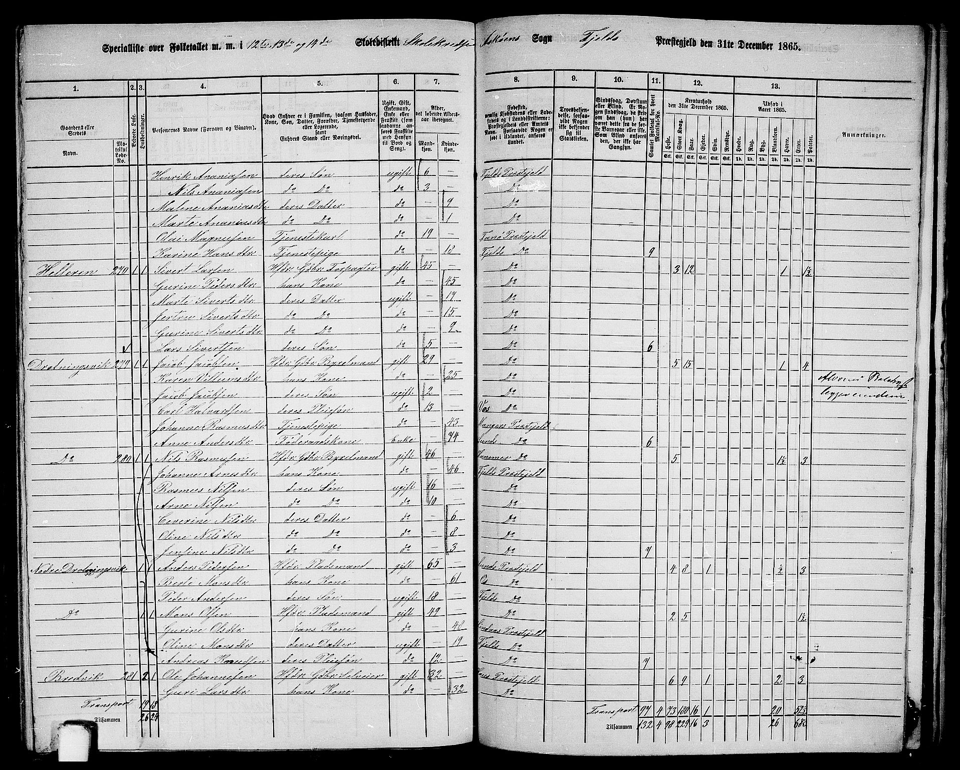 RA, 1865 census for Fjell, 1865, p. 248