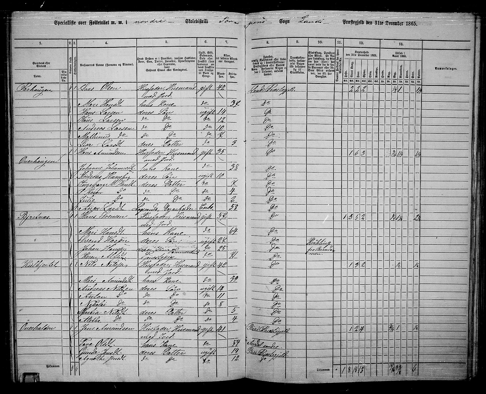 RA, 1865 census for Land, 1865, p. 130