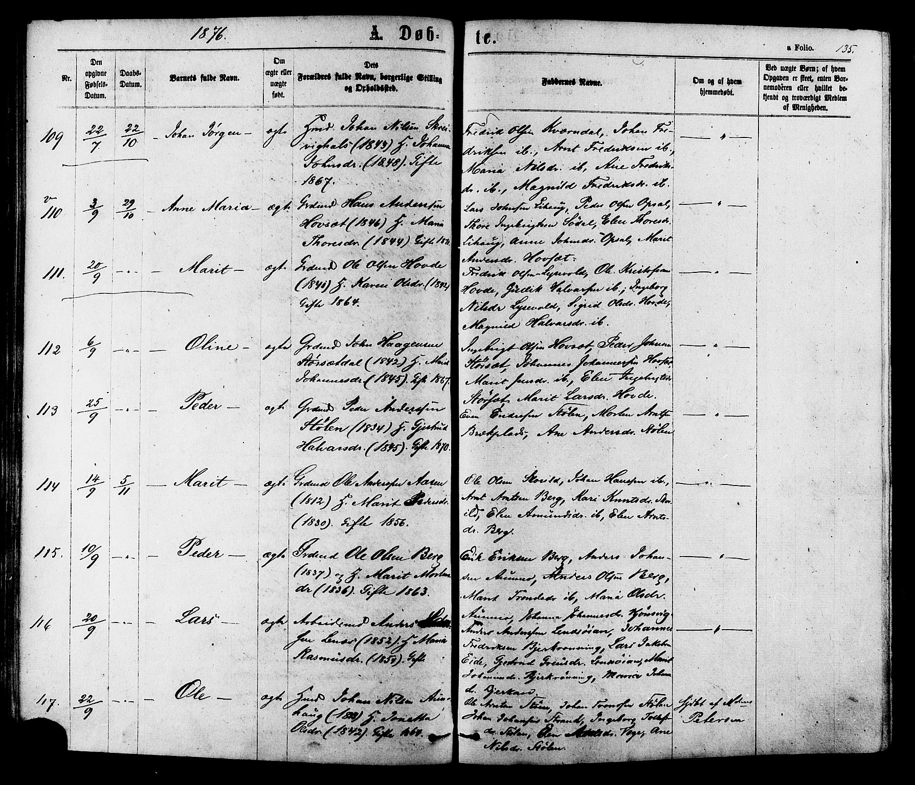 Ministerialprotokoller, klokkerbøker og fødselsregistre - Sør-Trøndelag, SAT/A-1456/630/L0495: Parish register (official) no. 630A08, 1868-1878, p. 135