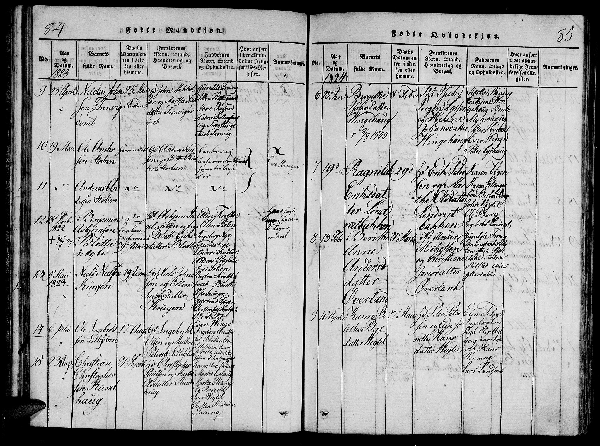 Ministerialprotokoller, klokkerbøker og fødselsregistre - Nord-Trøndelag, SAT/A-1458/701/L0005: Parish register (official) no. 701A05 /1, 1816-1825, p. 84-85