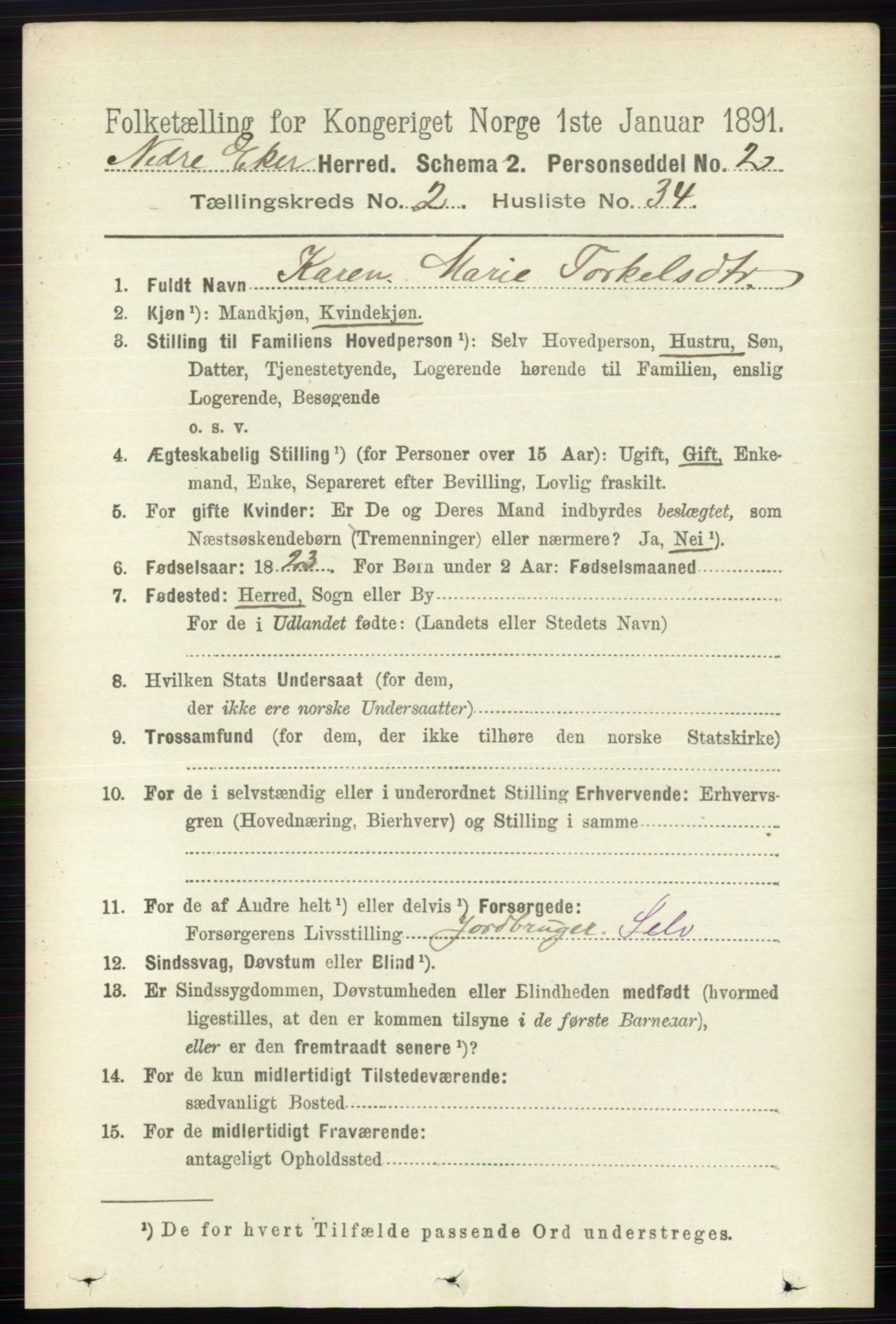 RA, 1891 census for 0625 Nedre Eiker, 1891, p. 731