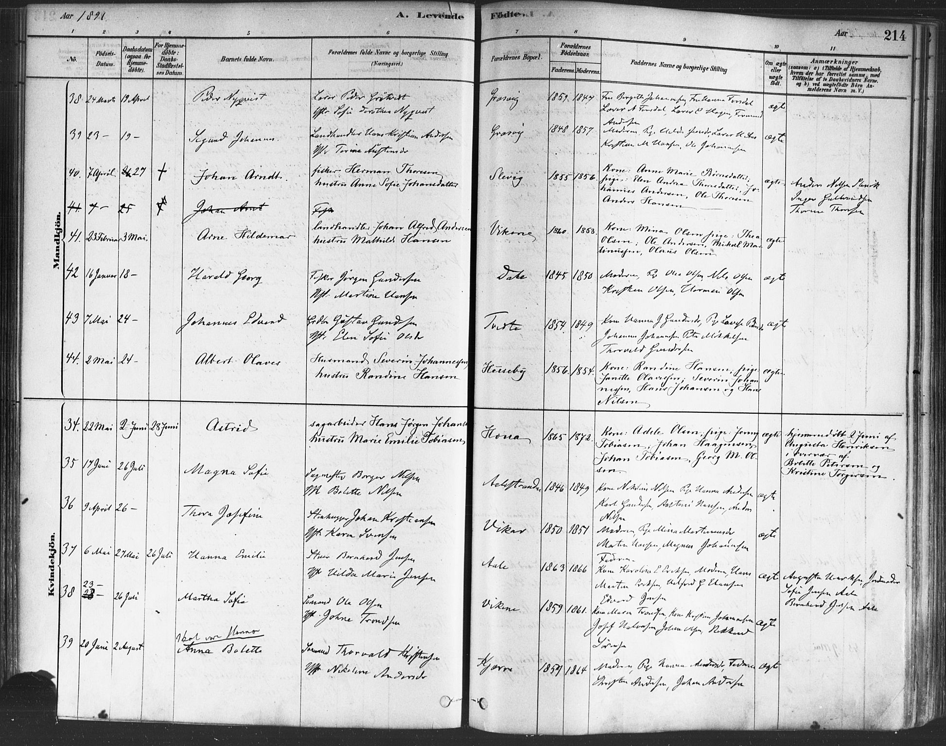 Onsøy prestekontor Kirkebøker, AV/SAO-A-10914/F/Fa/L0005: Parish register (official) no. I 5, 1878-1898, p. 214