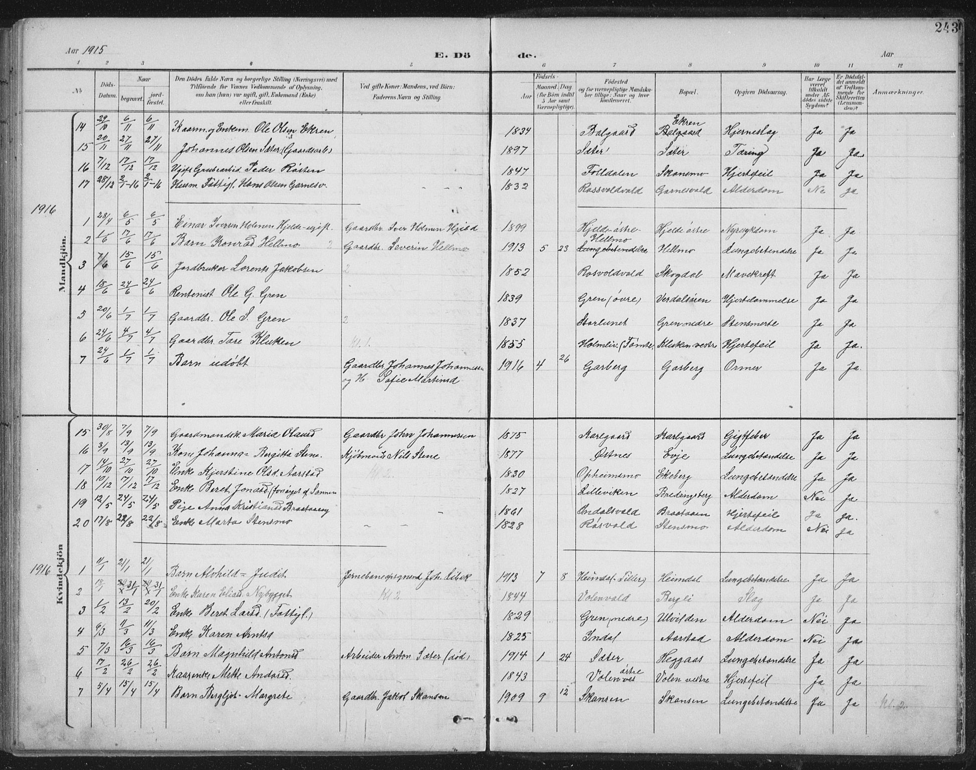 Ministerialprotokoller, klokkerbøker og fødselsregistre - Nord-Trøndelag, SAT/A-1458/724/L0269: Parish register (copy) no. 724C05, 1899-1920, p. 243