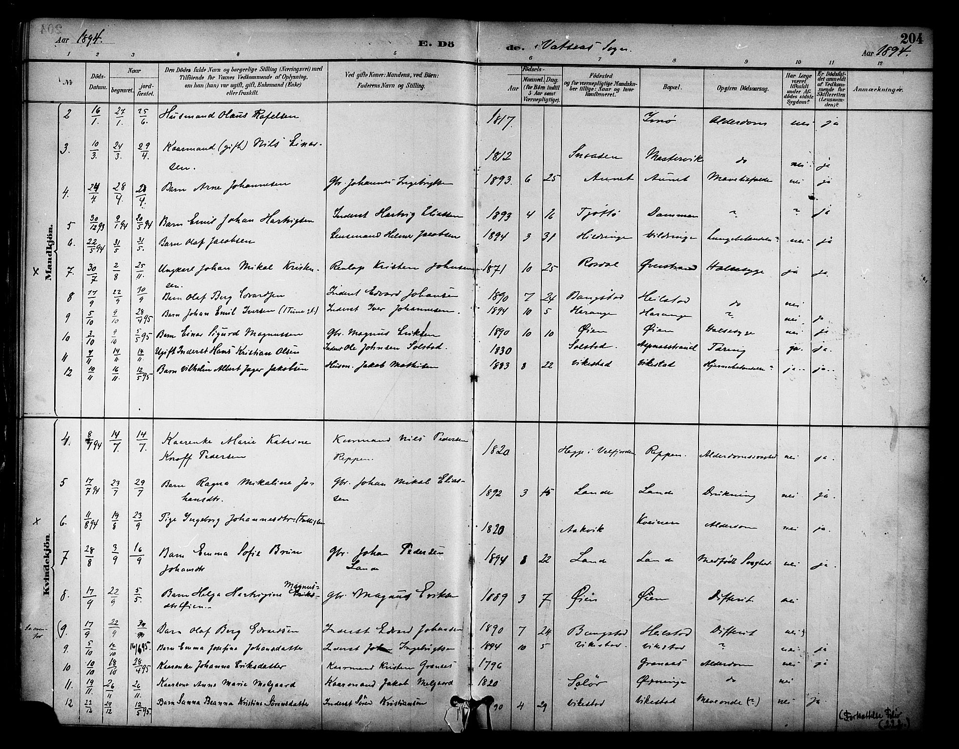 Ministerialprotokoller, klokkerbøker og fødselsregistre - Nordland, AV/SAT-A-1459/810/L0150: Parish register (official) no. 810A10 /1, 1884-1895, p. 204