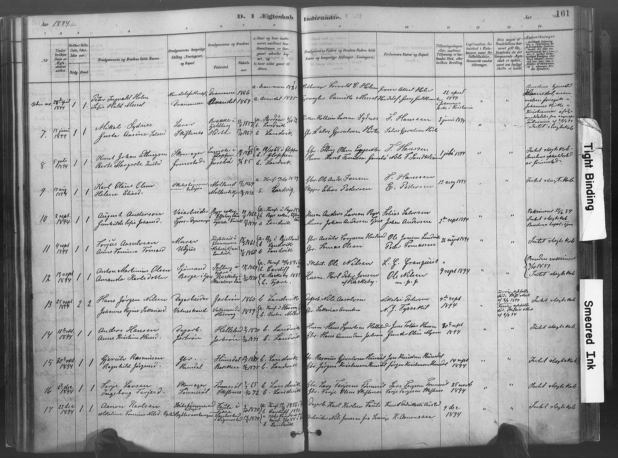 Hommedal sokneprestkontor, SAK/1111-0023/F/Fa/Fab/L0006: Parish register (official) no. A 6, 1878-1897, p. 161