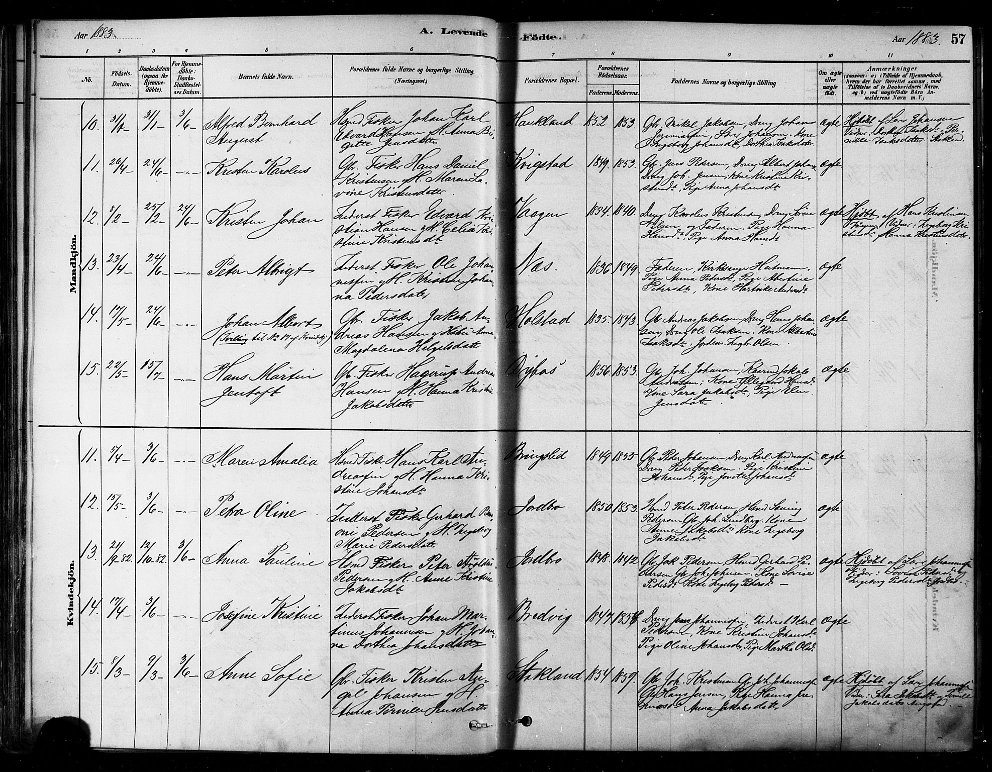 Ministerialprotokoller, klokkerbøker og fødselsregistre - Nordland, AV/SAT-A-1459/852/L0740: Parish register (official) no. 852A10, 1878-1894, p. 57