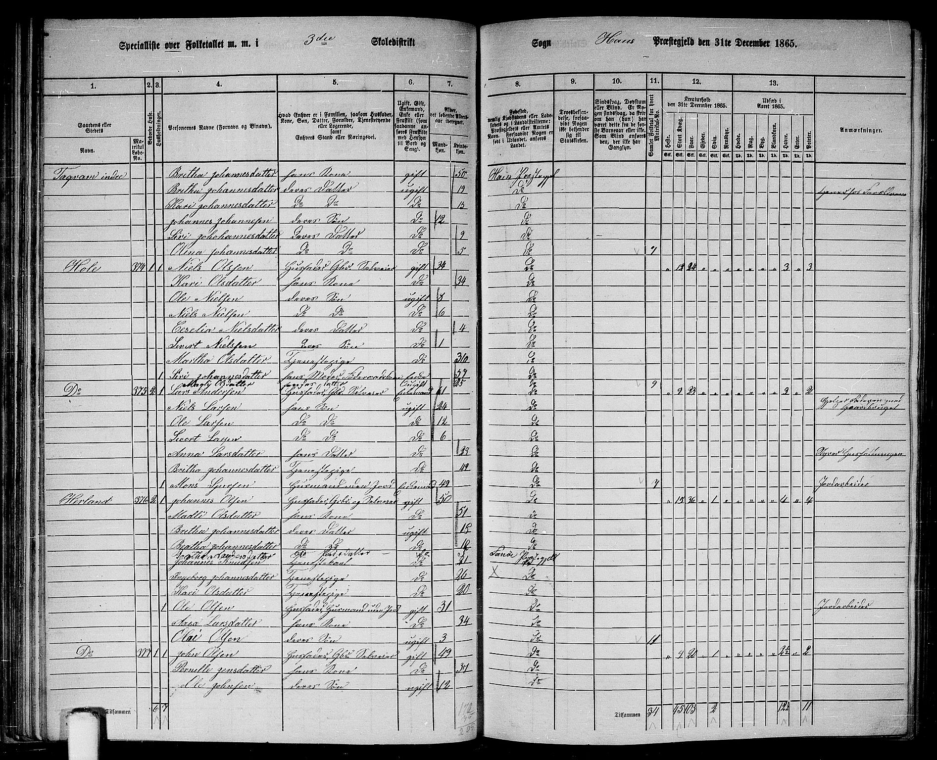 RA, 1865 census for Haus, 1865, p. 63