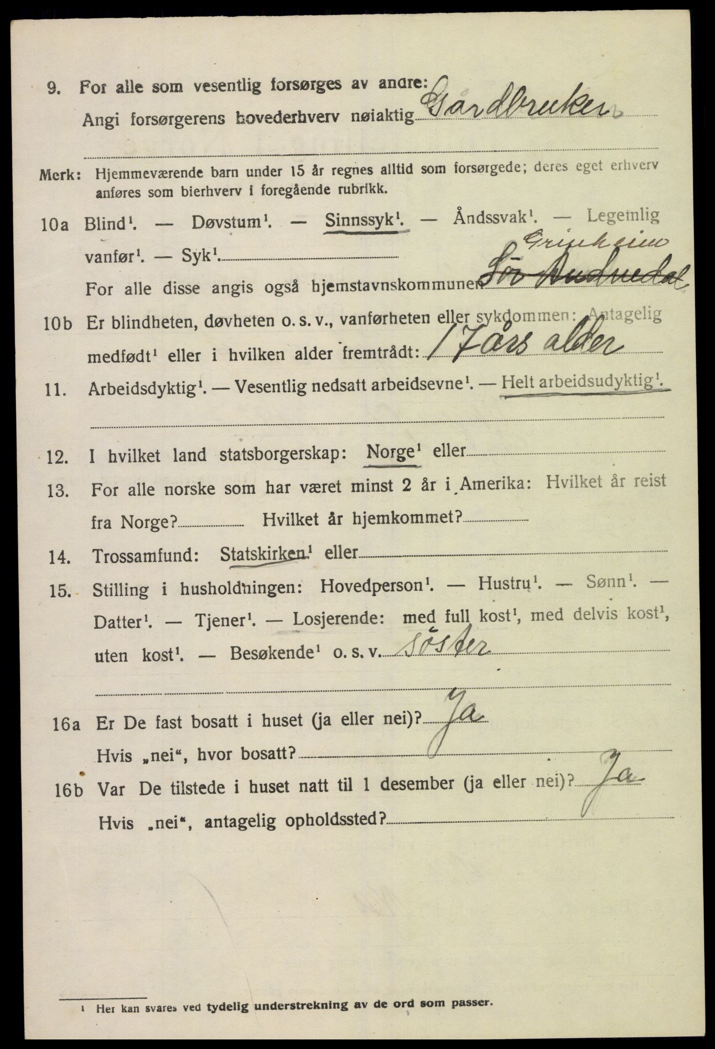 SAK, 1920 census for Sør-Audnedal, 1920, p. 4304