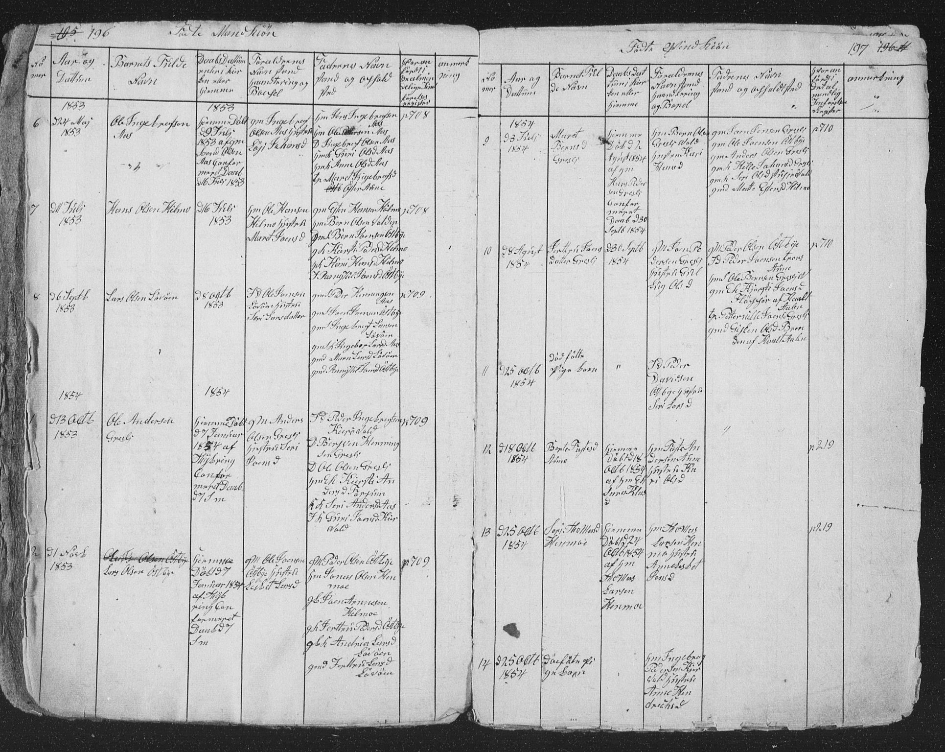 Ministerialprotokoller, klokkerbøker og fødselsregistre - Sør-Trøndelag, SAT/A-1456/698/L1165: Parish register (copy) no. 698C02, 1851-1861, p. 196-197