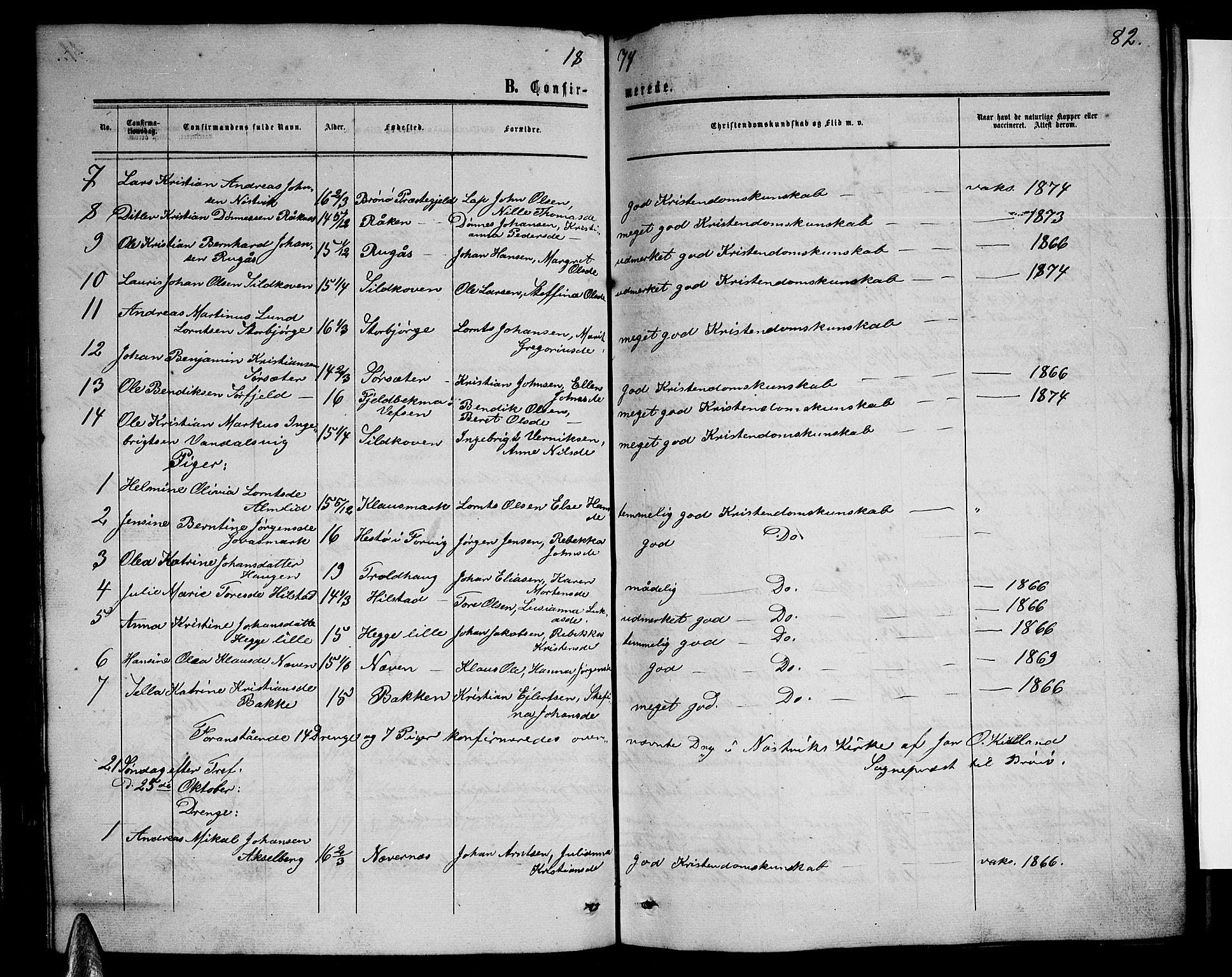 Ministerialprotokoller, klokkerbøker og fødselsregistre - Nordland, SAT/A-1459/814/L0229: Parish register (copy) no. 814C02, 1859-1883, p. 82