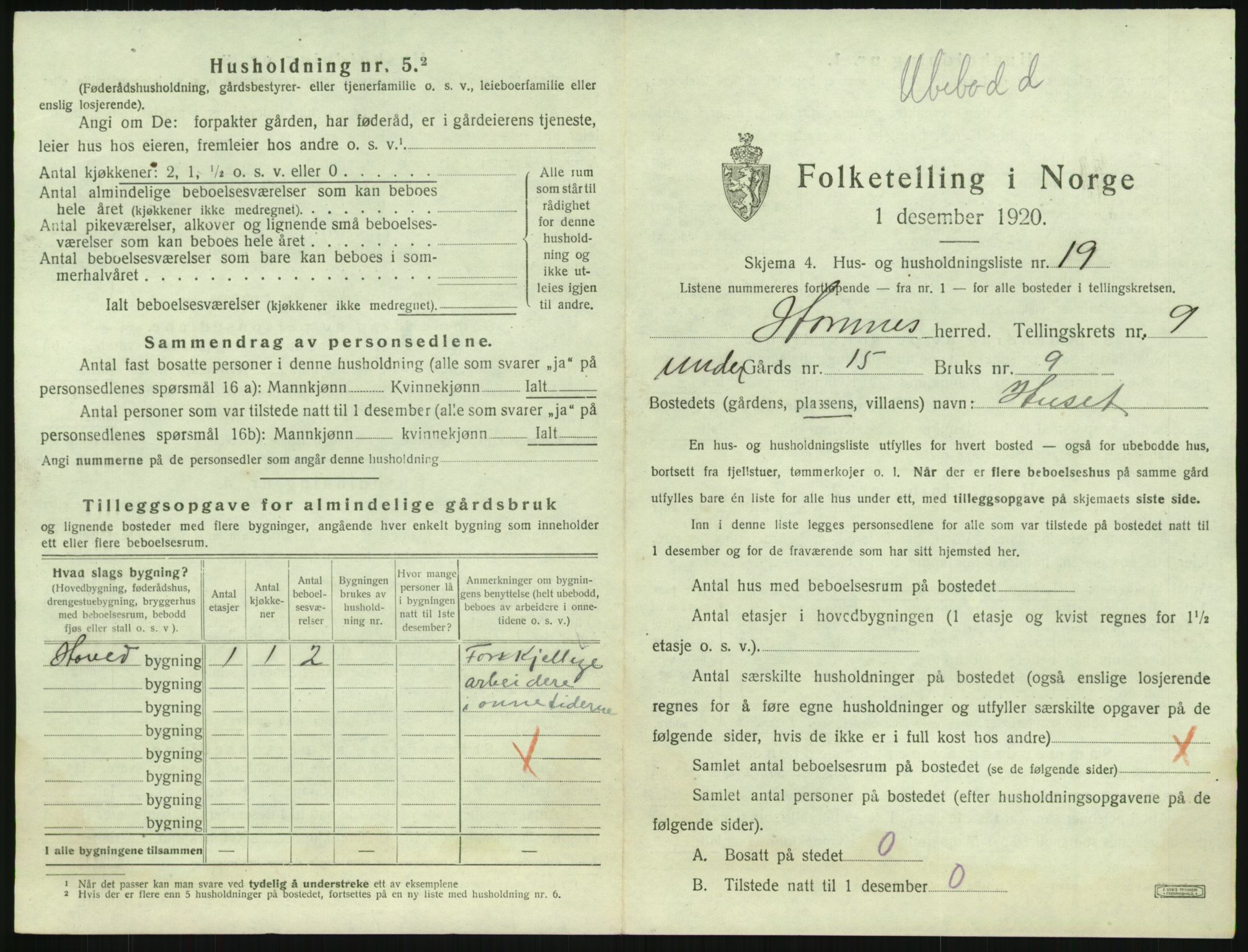 SAK, 1920 census for Hornnes, 1920, p. 387
