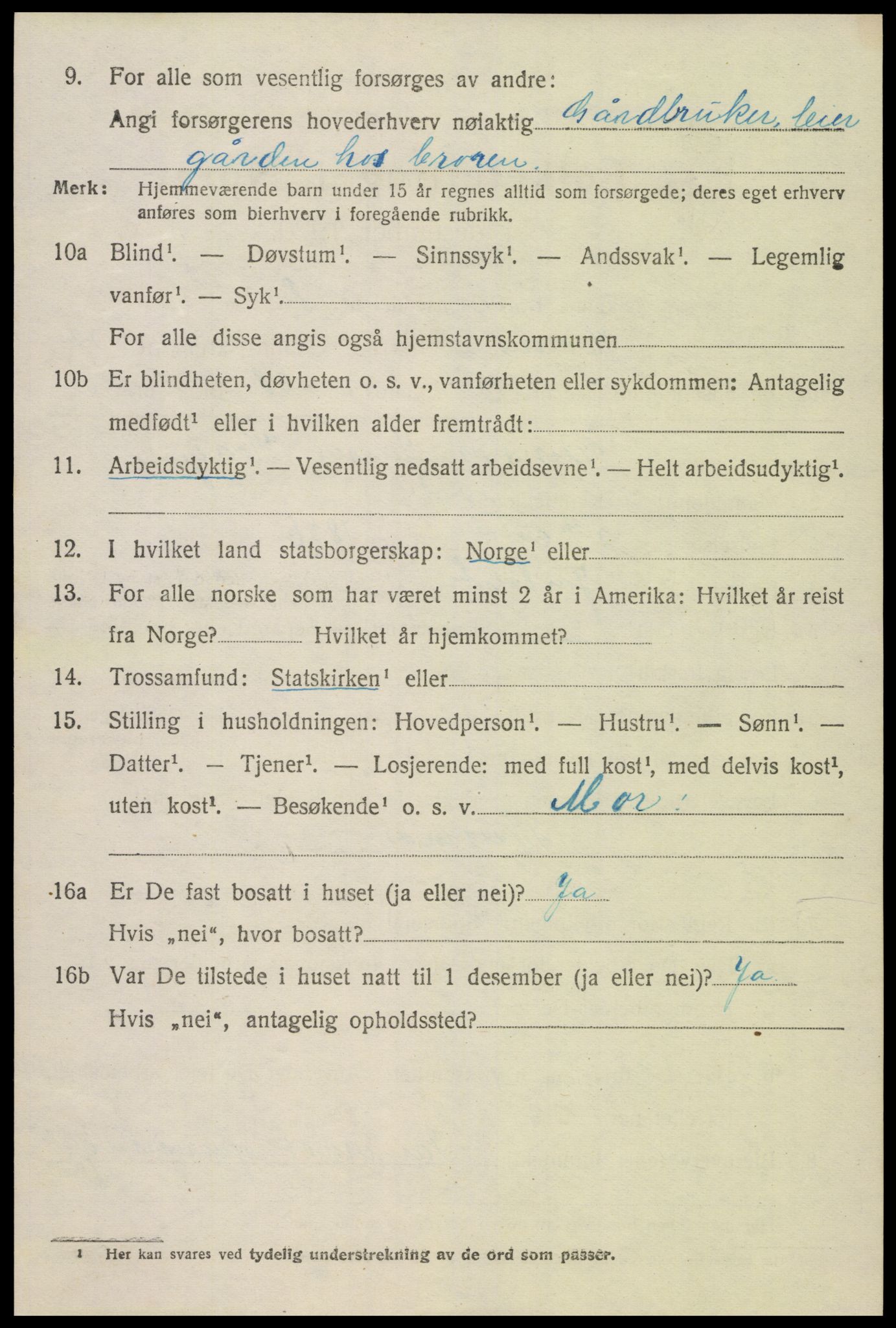 SAK, 1920 census for Hornnes, 1920, p. 3046