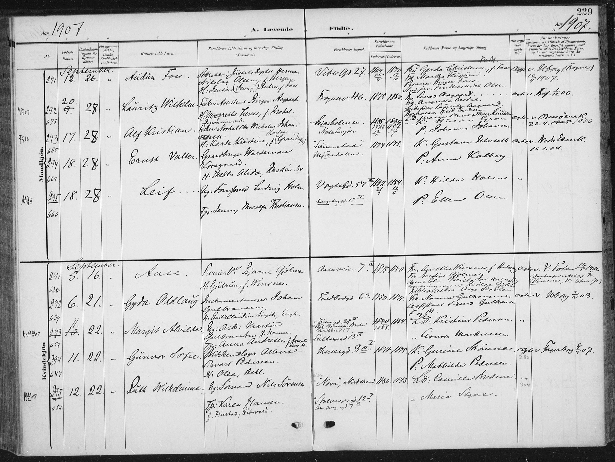 Rikshospitalet prestekontor Kirkebøker, SAO/A-10309b/F/L0013: Parish register (official) no. 13, 1905-1908, p. 229