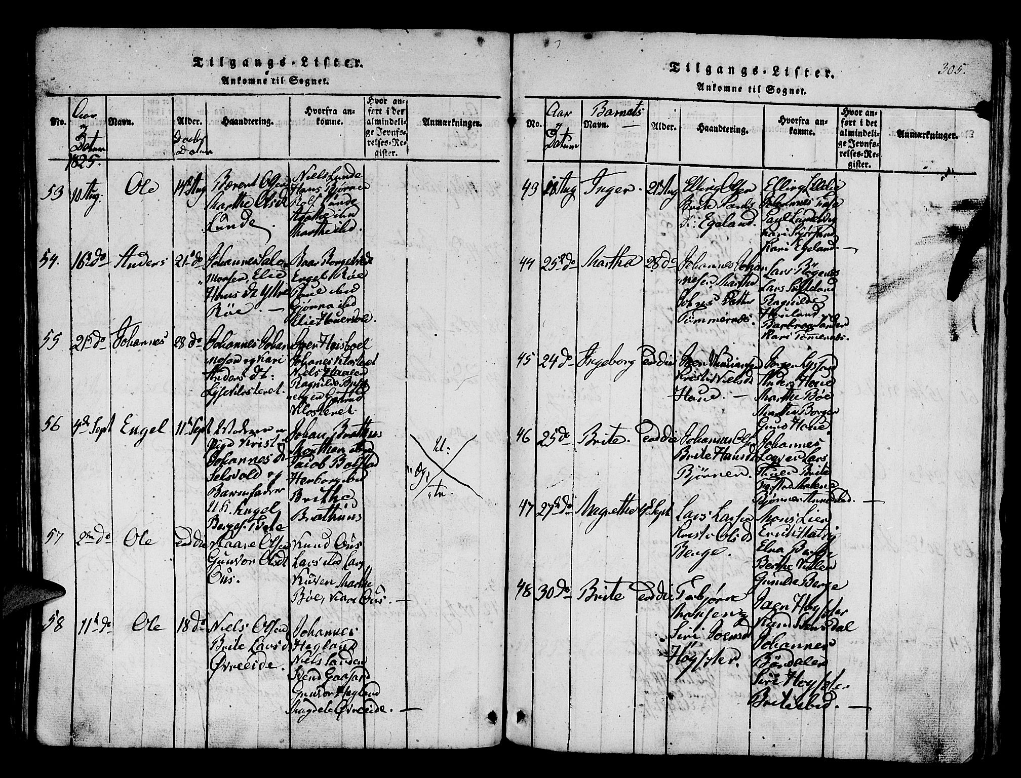 Os sokneprestembete, AV/SAB-A-99929: Parish register (official) no. A 12, 1816-1825, p. 305