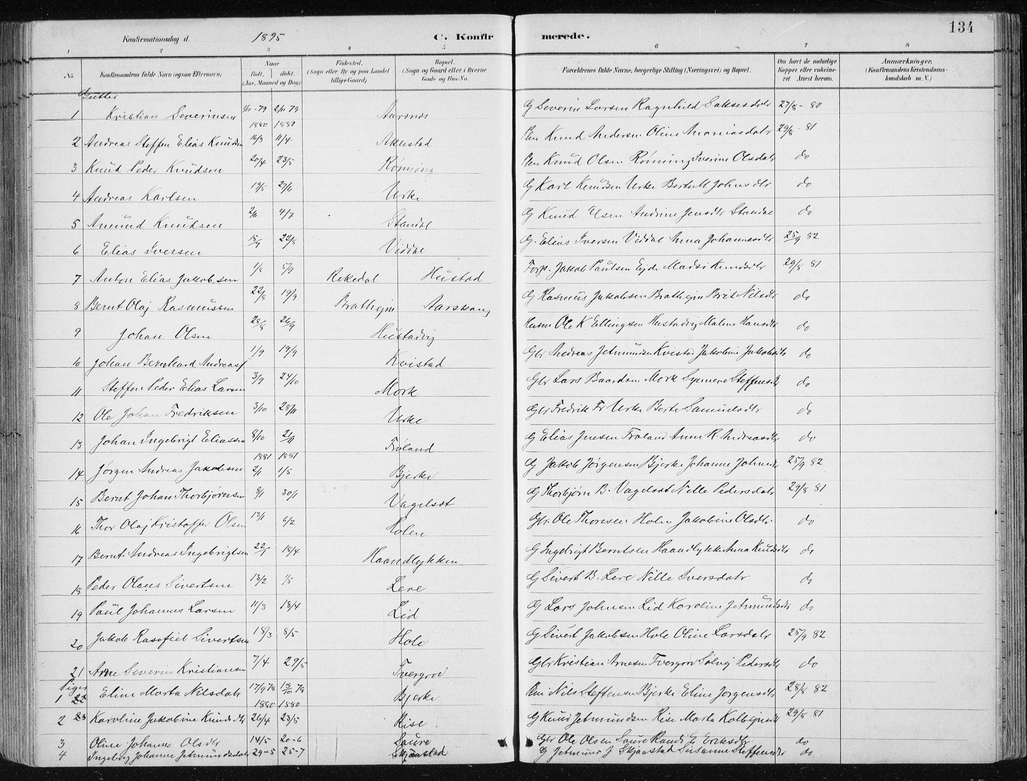 Ministerialprotokoller, klokkerbøker og fødselsregistre - Møre og Romsdal, AV/SAT-A-1454/515/L0215: Parish register (copy) no. 515C02, 1884-1906, p. 134