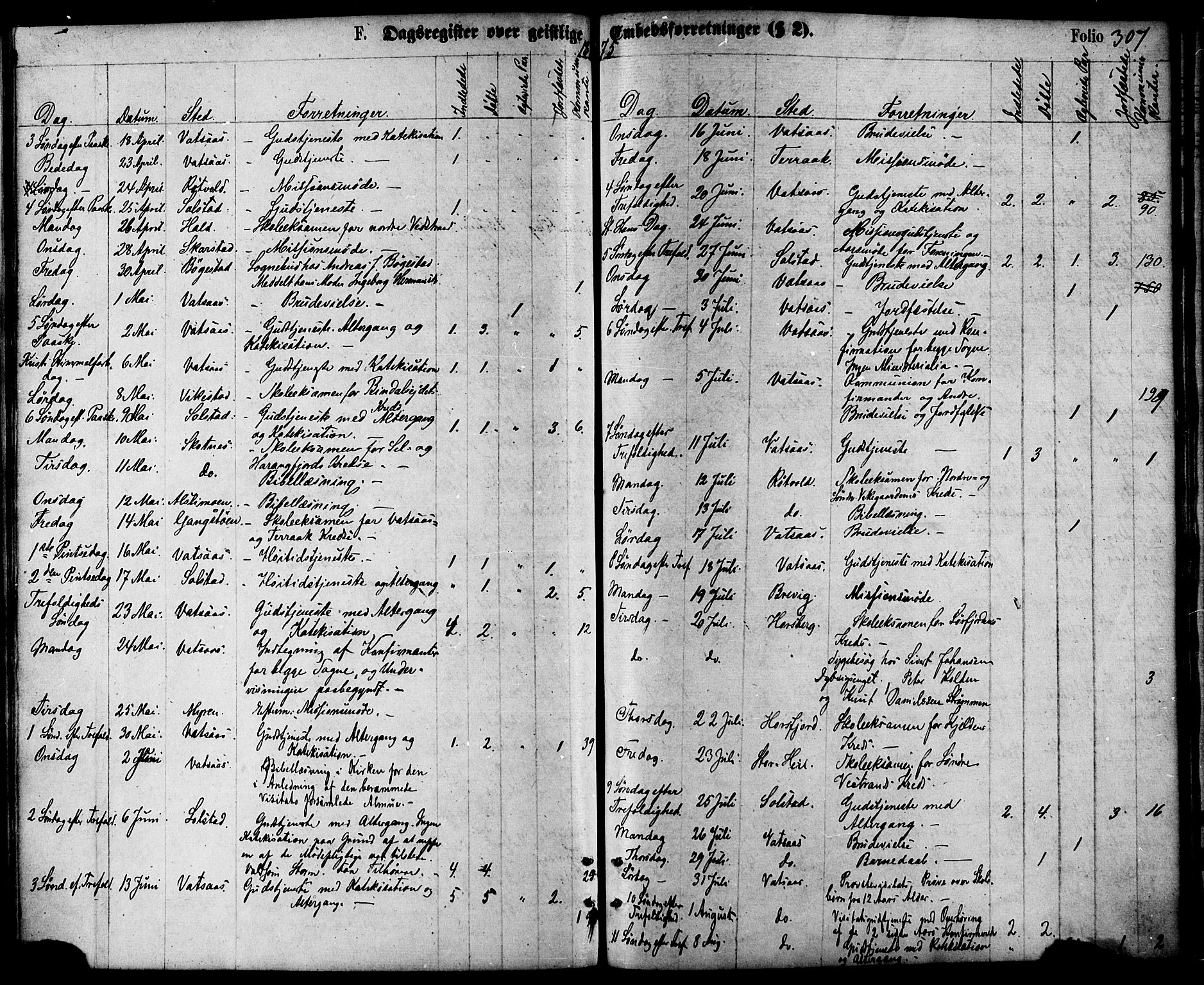 Ministerialprotokoller, klokkerbøker og fødselsregistre - Nordland, AV/SAT-A-1459/810/L0148: Parish register (official) no. 810A09 /1, 1874-1884, p. 307