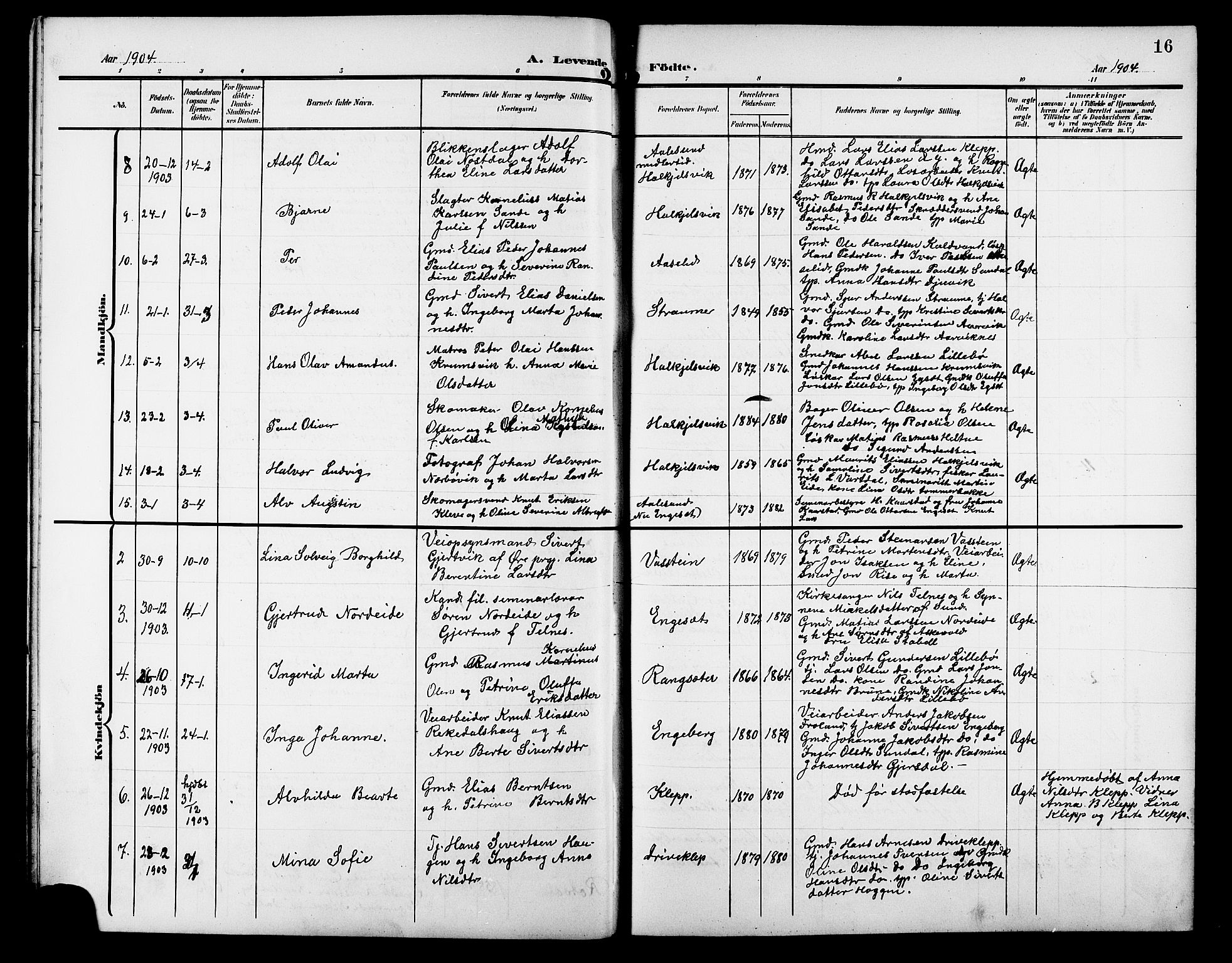 Ministerialprotokoller, klokkerbøker og fødselsregistre - Møre og Romsdal, AV/SAT-A-1454/511/L0159: Parish register (copy) no. 511C05, 1902-1920, p. 16