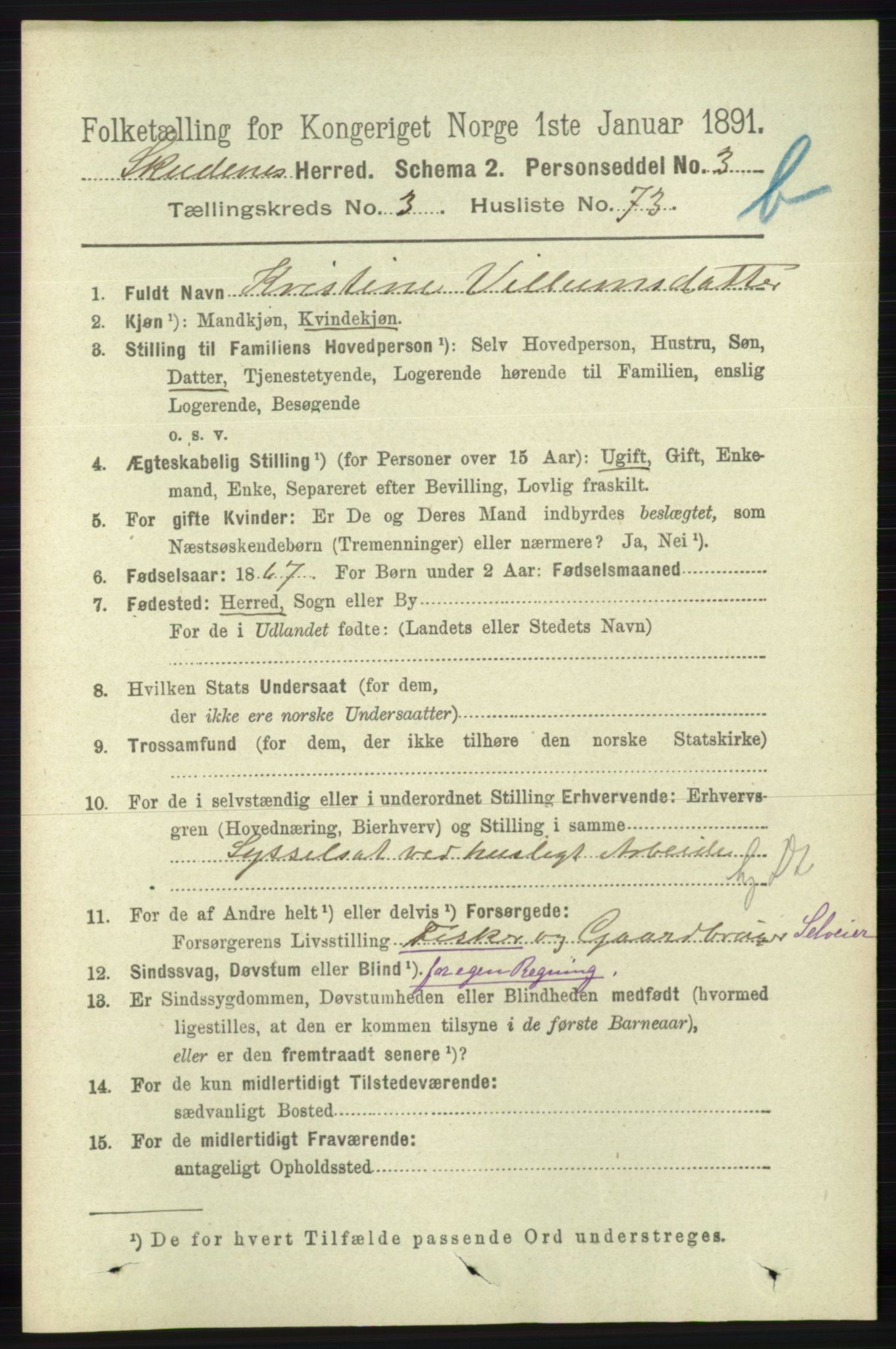 RA, 1891 census for 1150 Skudenes, 1891, p. 4382