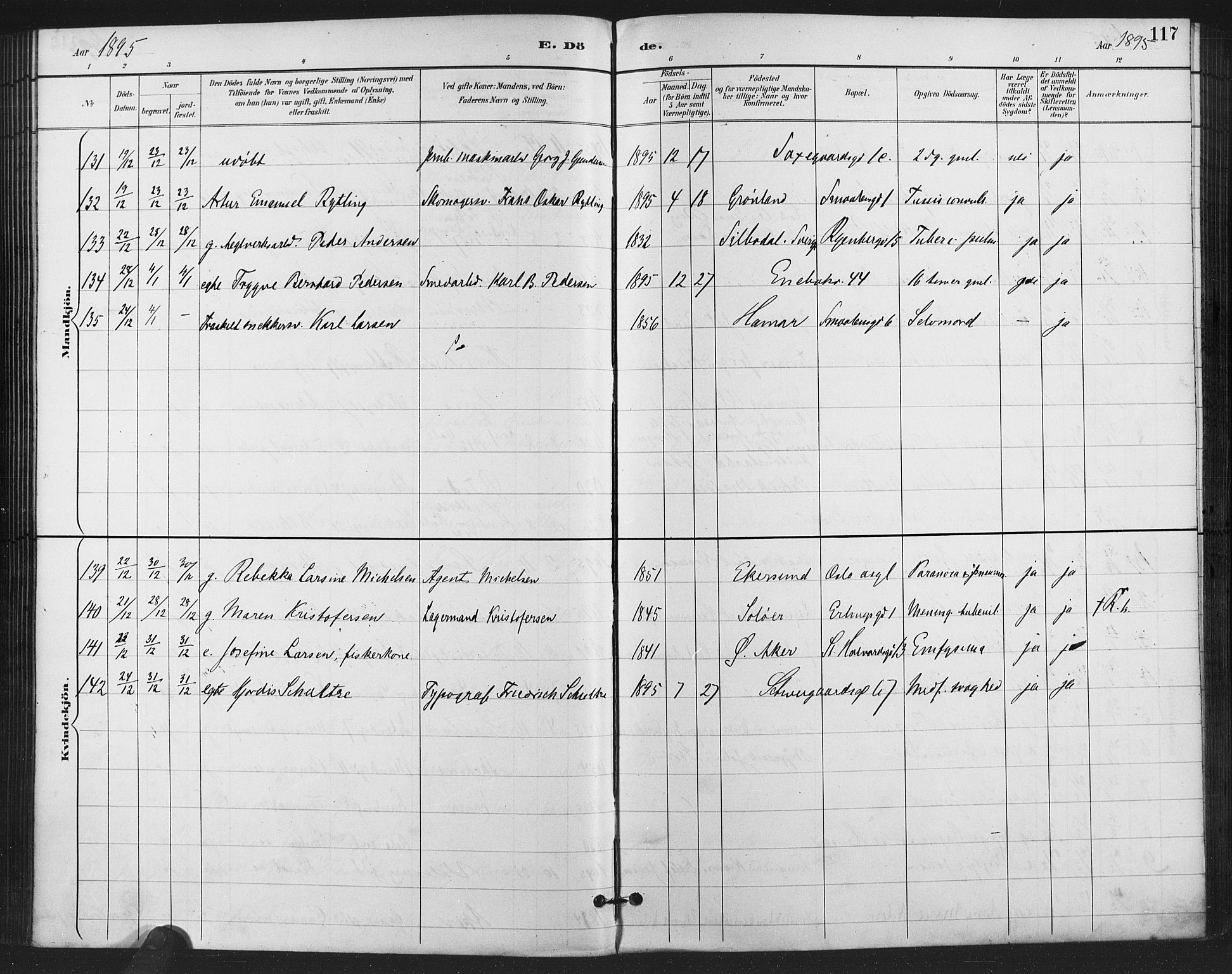 Gamlebyen prestekontor Kirkebøker, SAO/A-10884/F/Fa/L0009: Parish register (official) no. 9, 1888-1909, p. 117