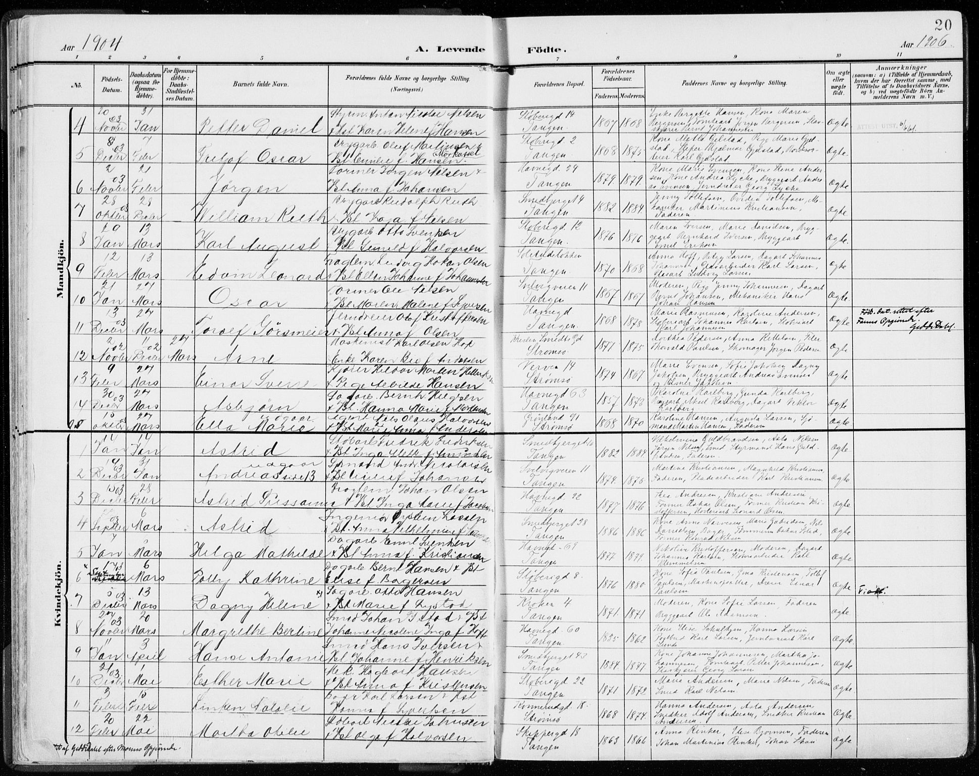 Strømsø kirkebøker, AV/SAKO-A-246/F/Fb/L0008: Parish register (official) no. II 8, 1902-1933, p. 20