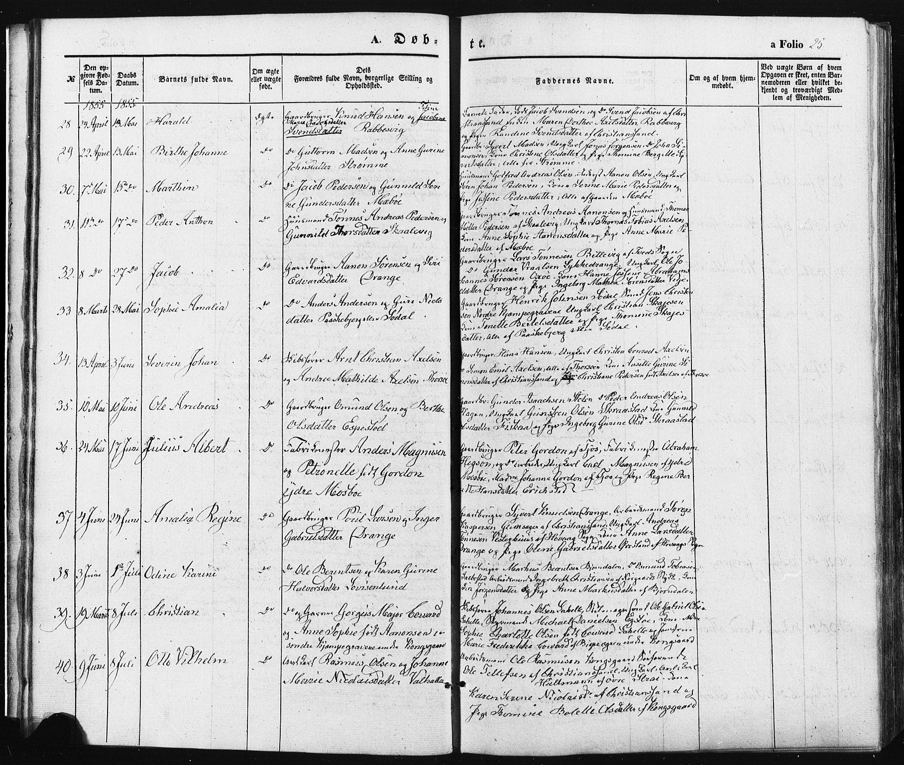 Oddernes sokneprestkontor, SAK/1111-0033/F/Fa/Faa/L0007: Parish register (official) no. A 7, 1851-1863, p. 25