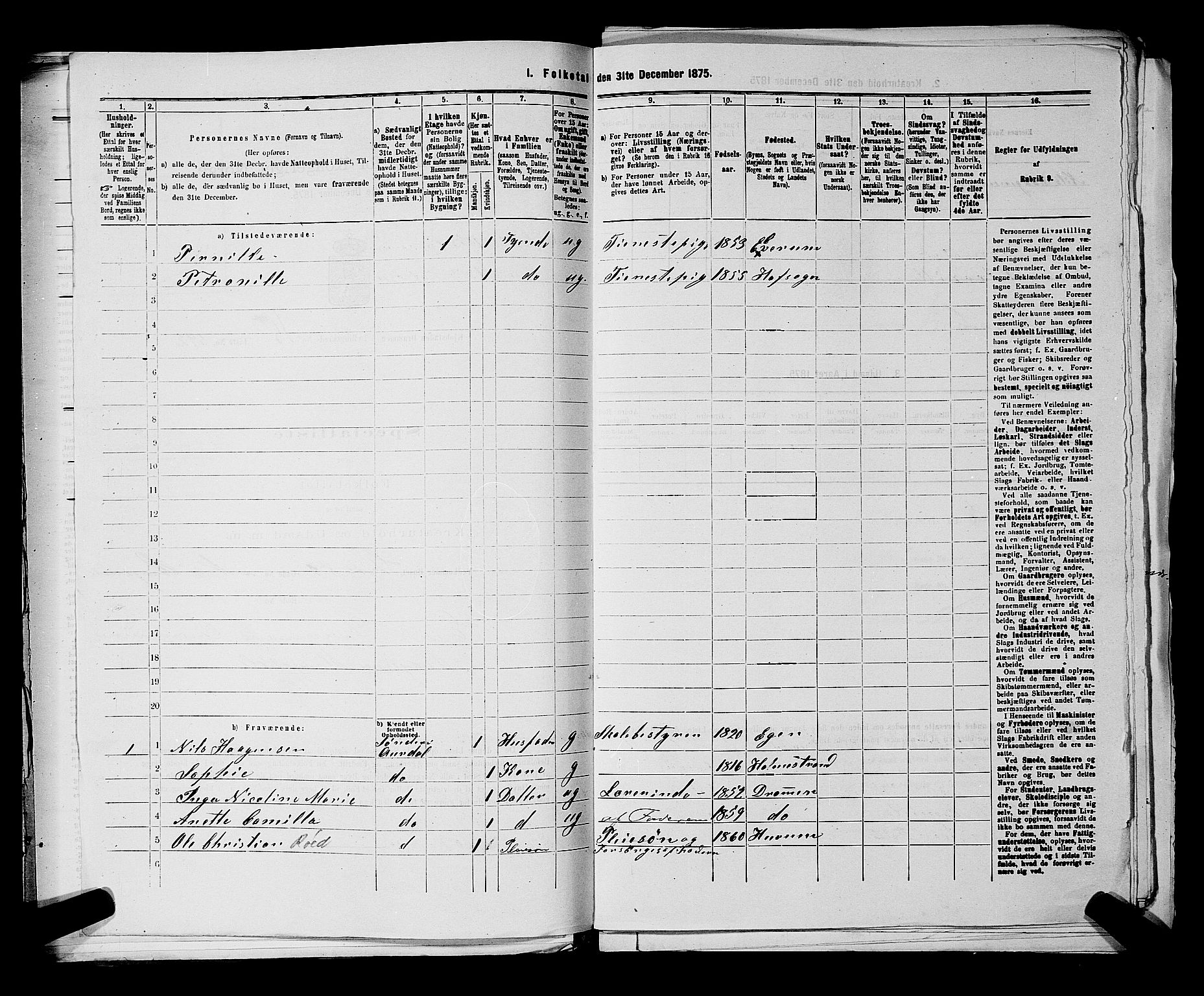 SAKO, 1875 census for 0602 Drammen, 1875, p. 1720