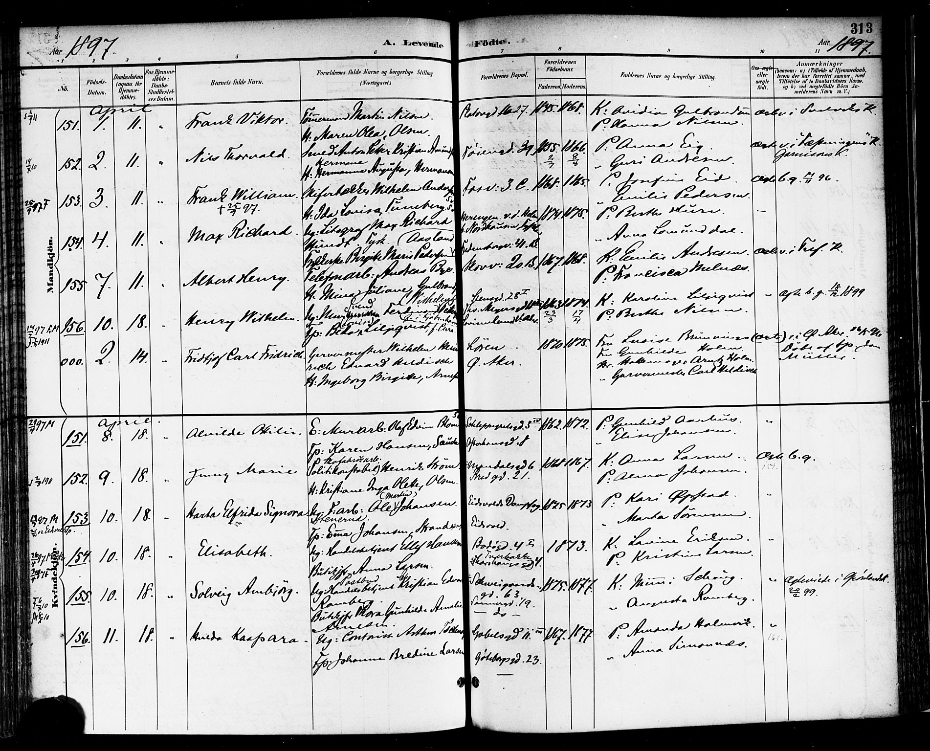Rikshospitalet prestekontor Kirkebøker, AV/SAO-A-10309b/F/L0009: Parish register (official) no. 9, 1894-1897, p. 313