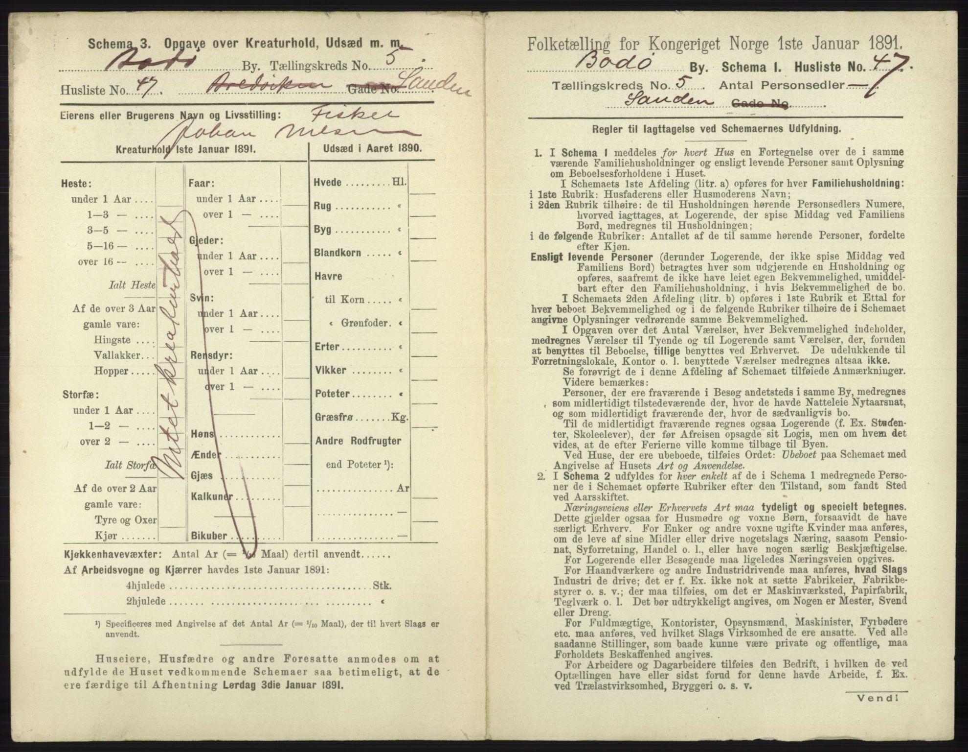 RA, 1891 census for 1804 Bodø, 1891, p. 3899